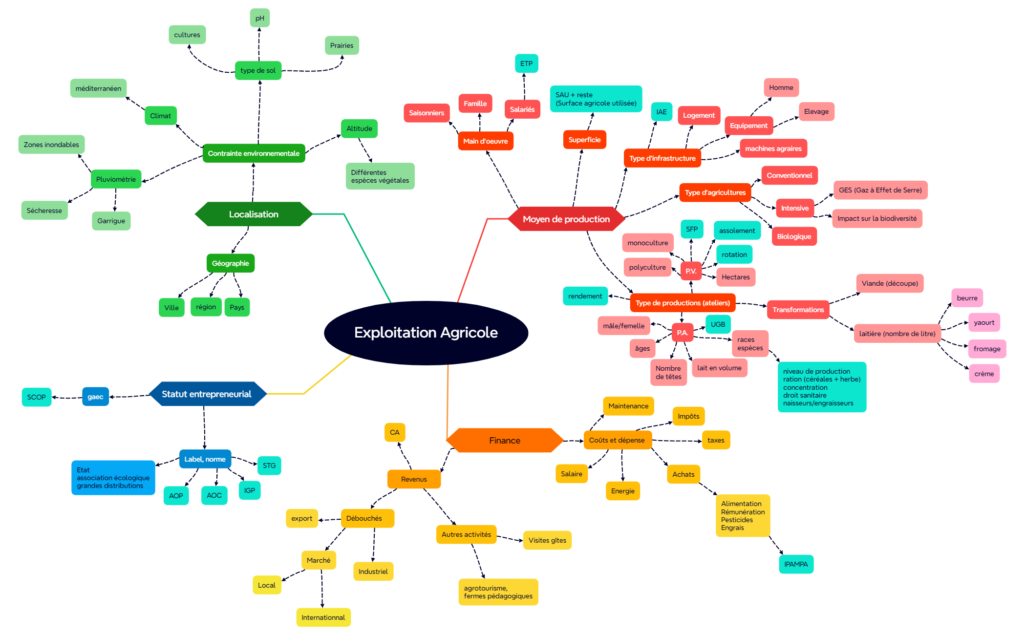 DIVEX carte mentale preview 1