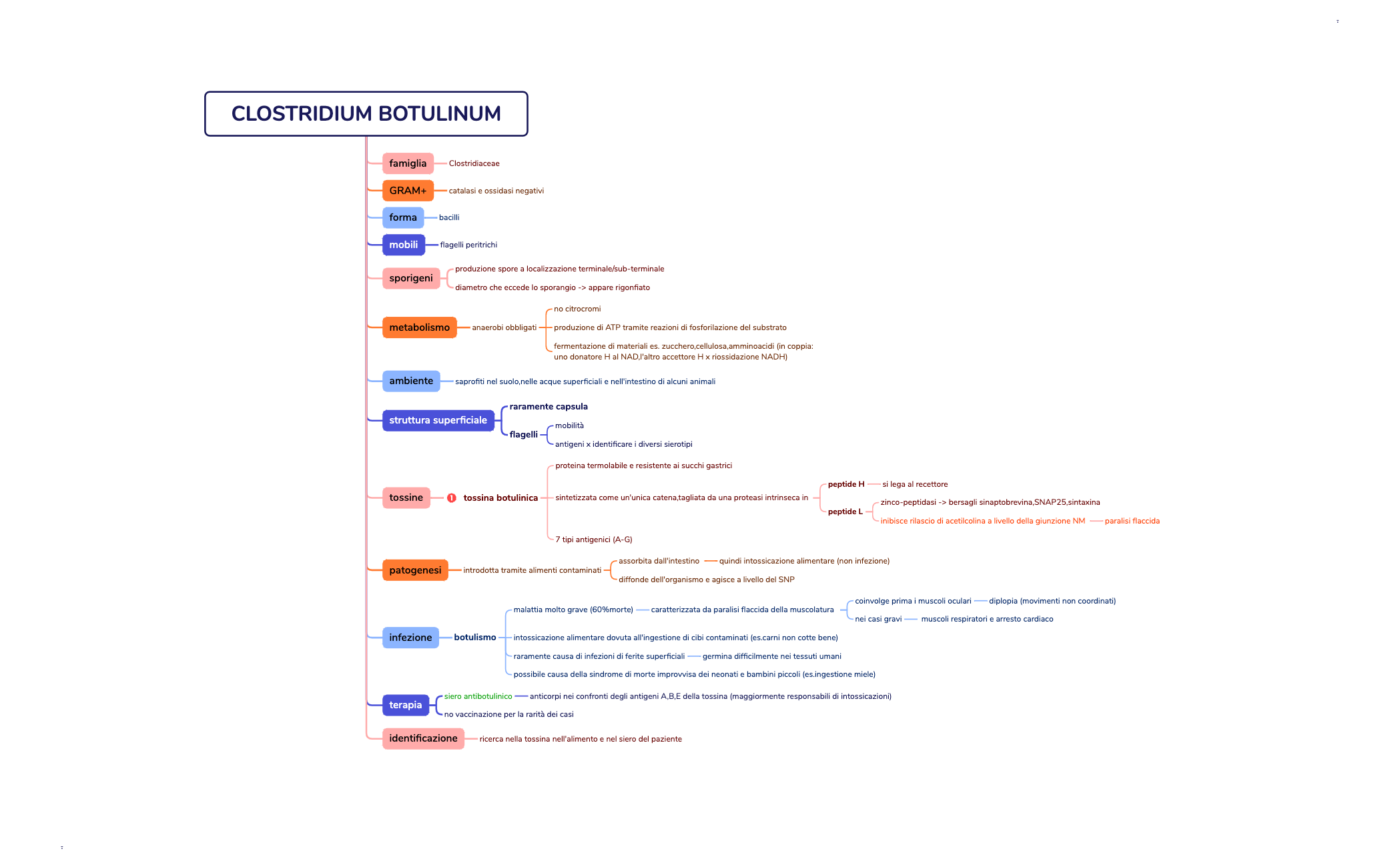 CLOSTRIDIUM BOTULINUM preview 1