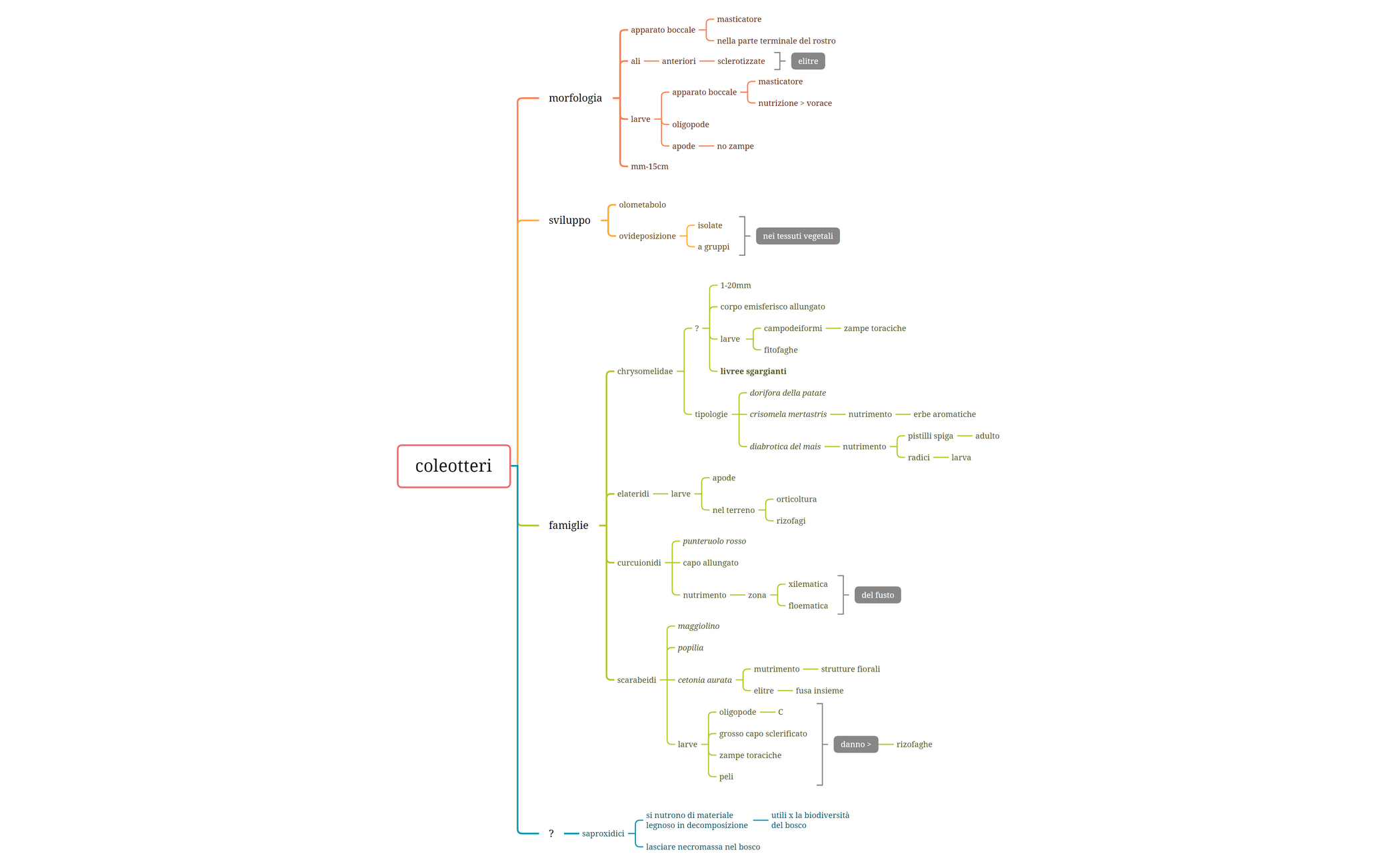 ordini insetti preview 1