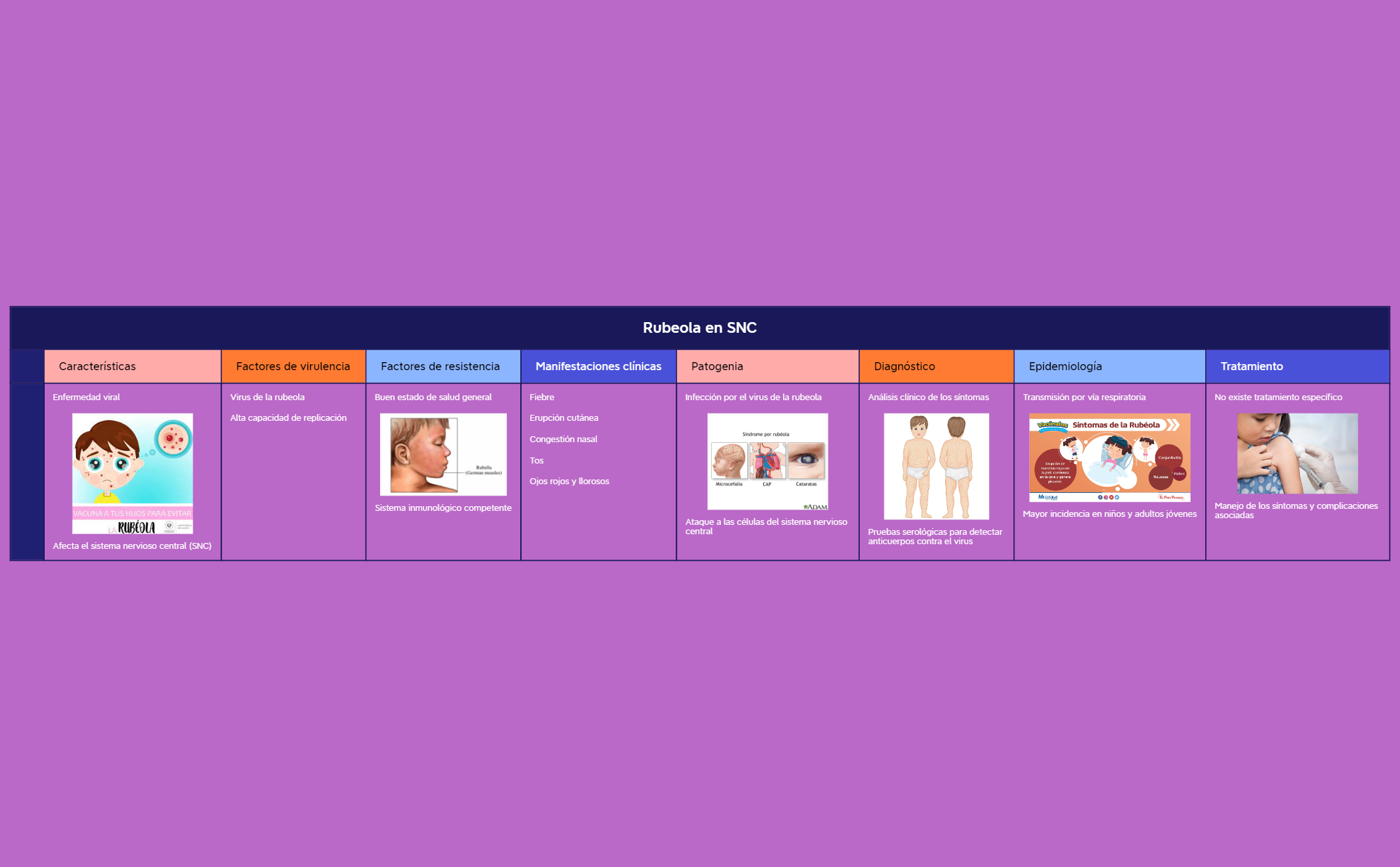 Rubeola en SNC preview 1