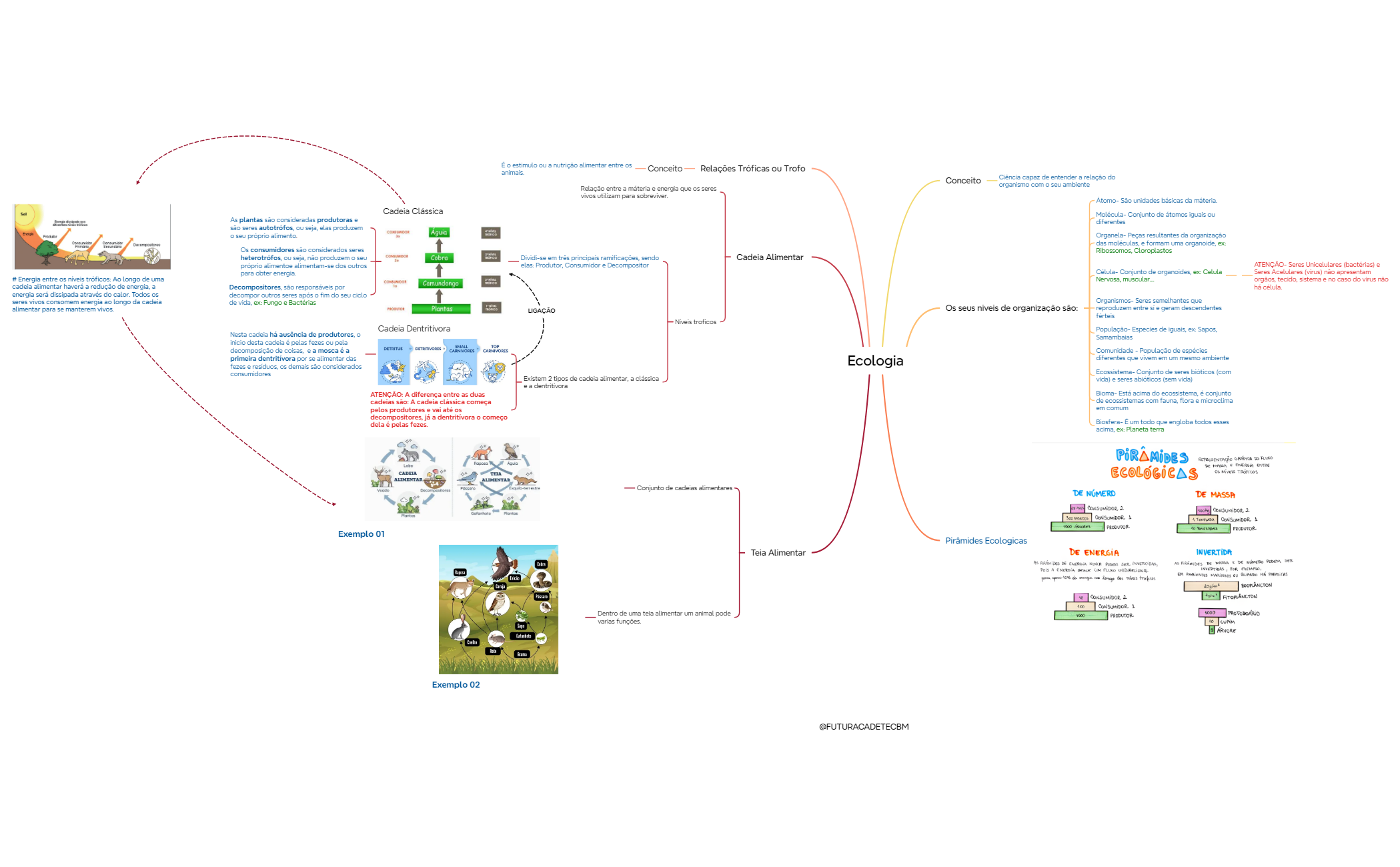 Mind Map preview 1