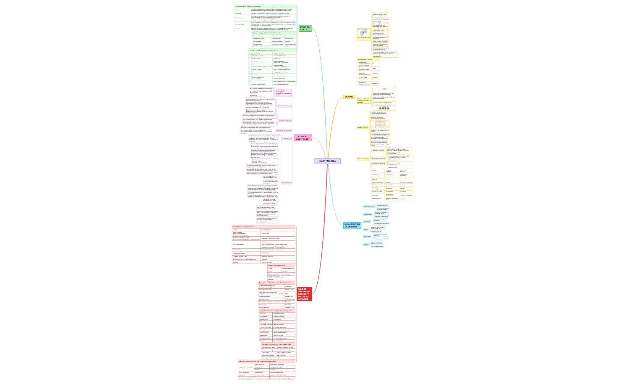ENZYMES.xmind preview 1