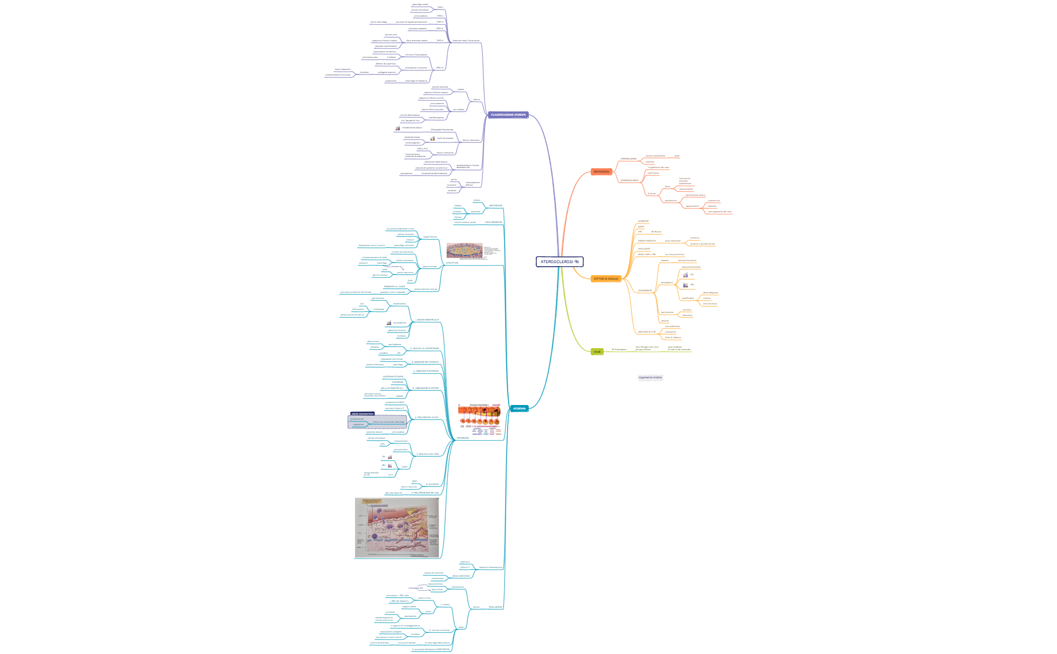 2. Patologia vascolare preview 1