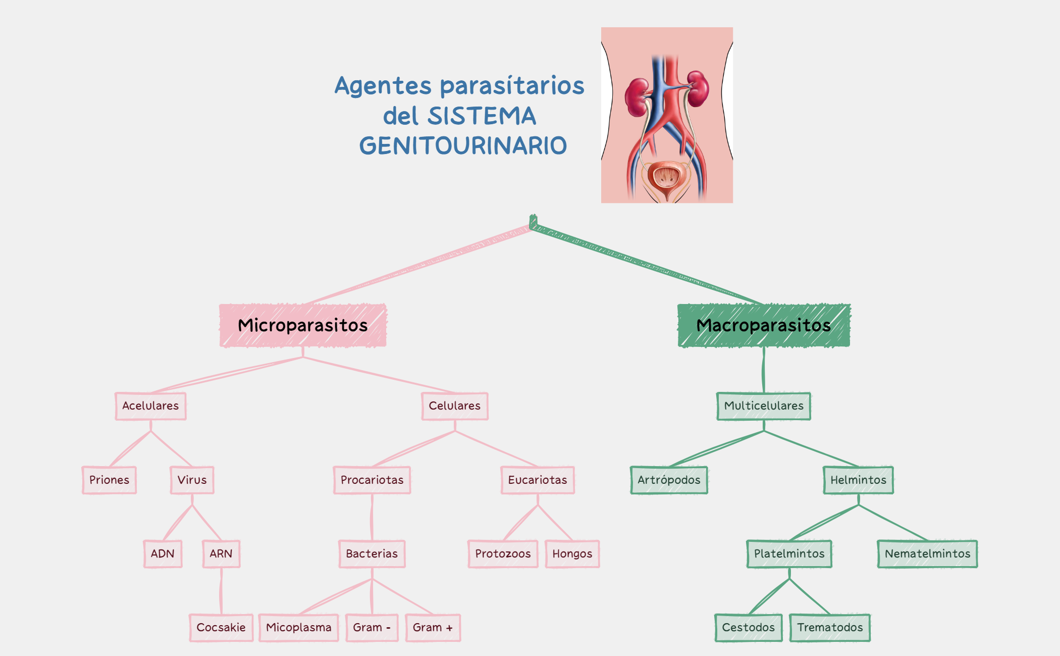 Tomar notas preview 1