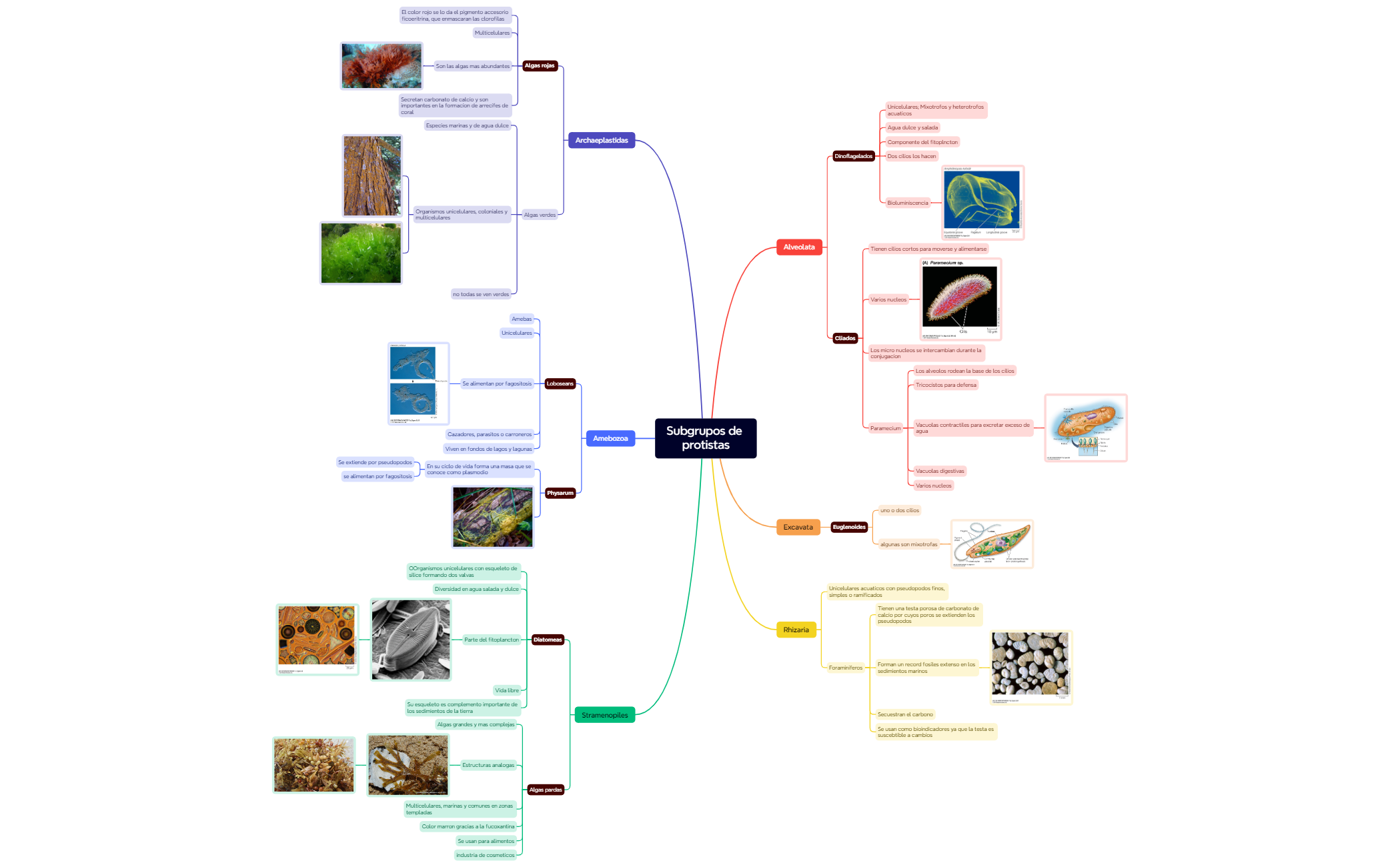 Mapa 1 preview 1