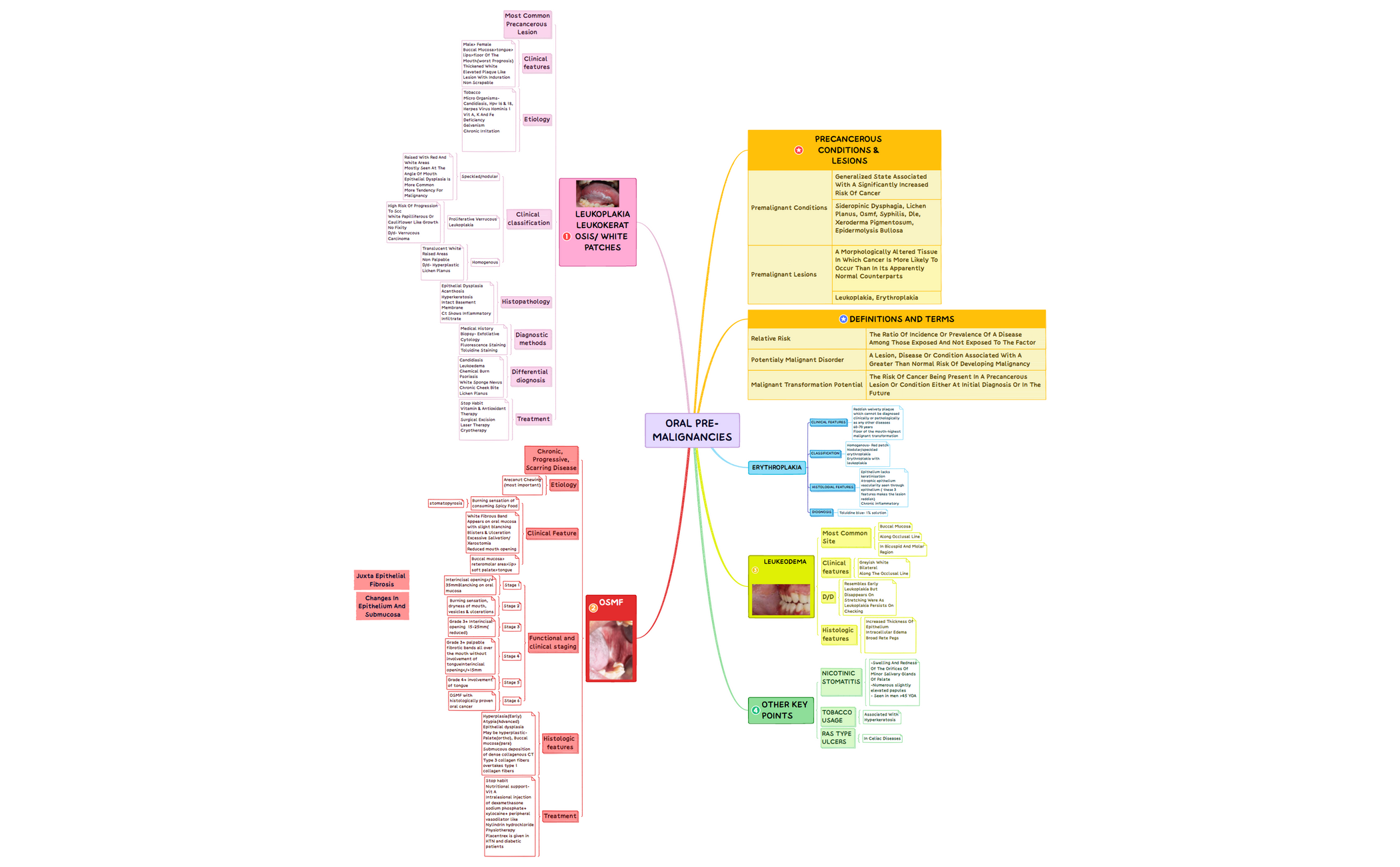 sample mindmap-NEET.xmind preview 1