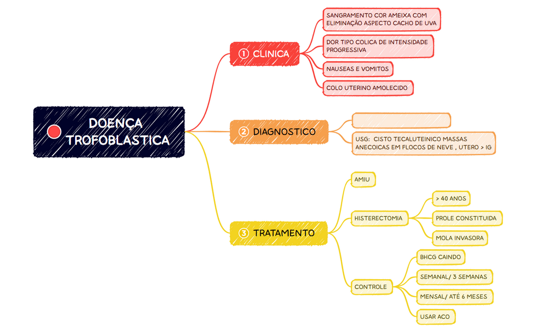DOENÇA TROFOBLASTICA.xmind preview 1