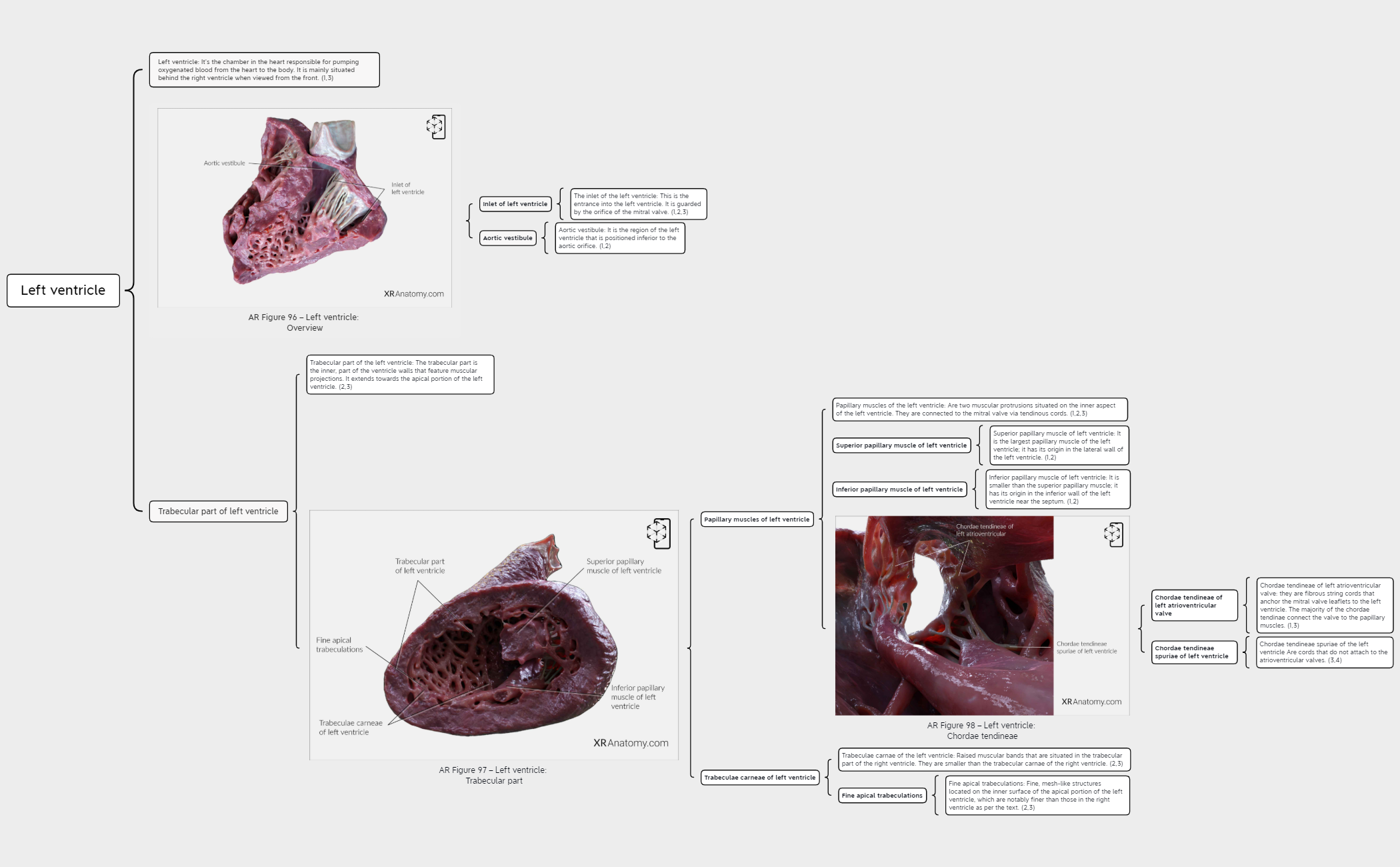 Left ventricle preview 1
