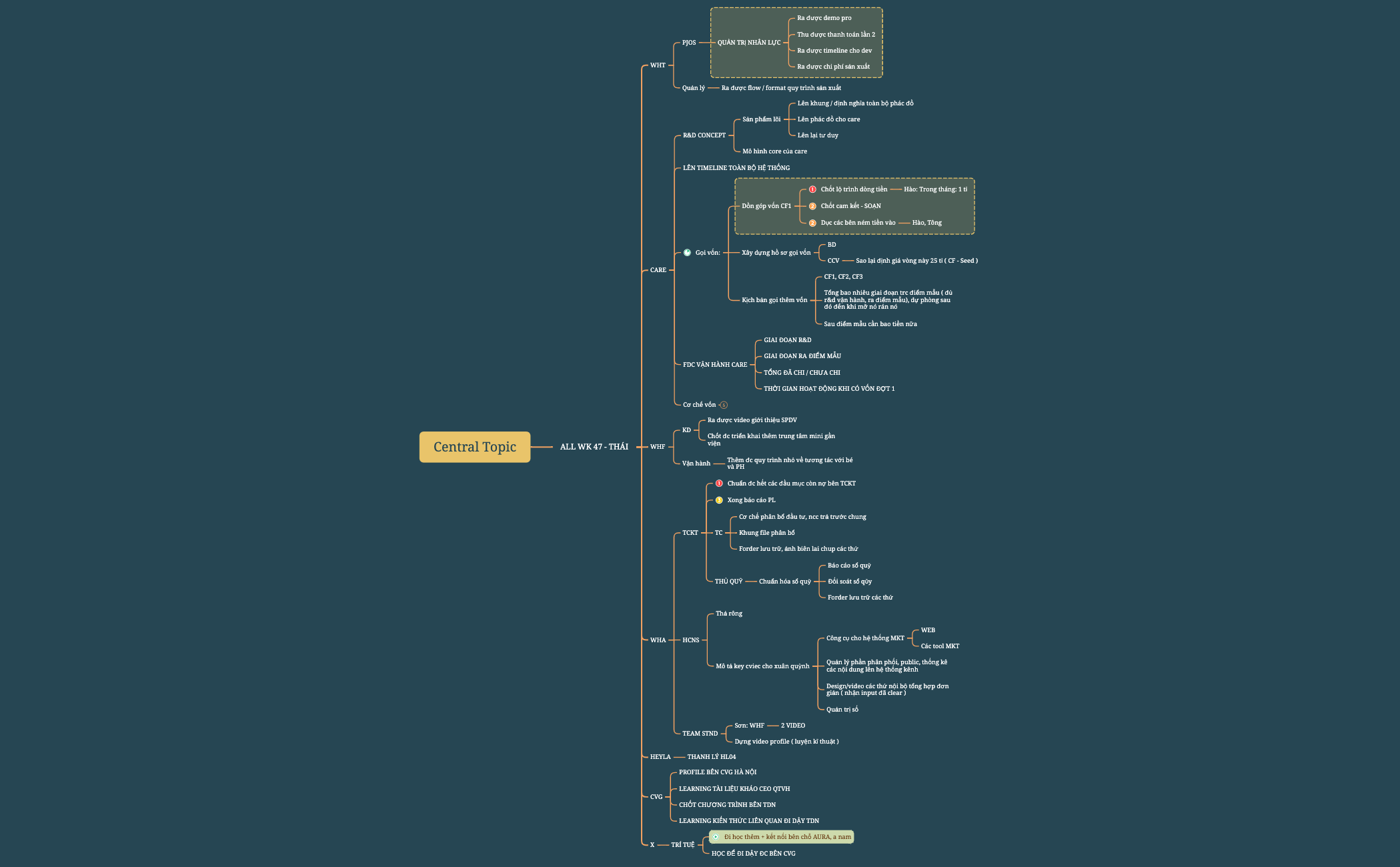 Central Topic - XMind Template