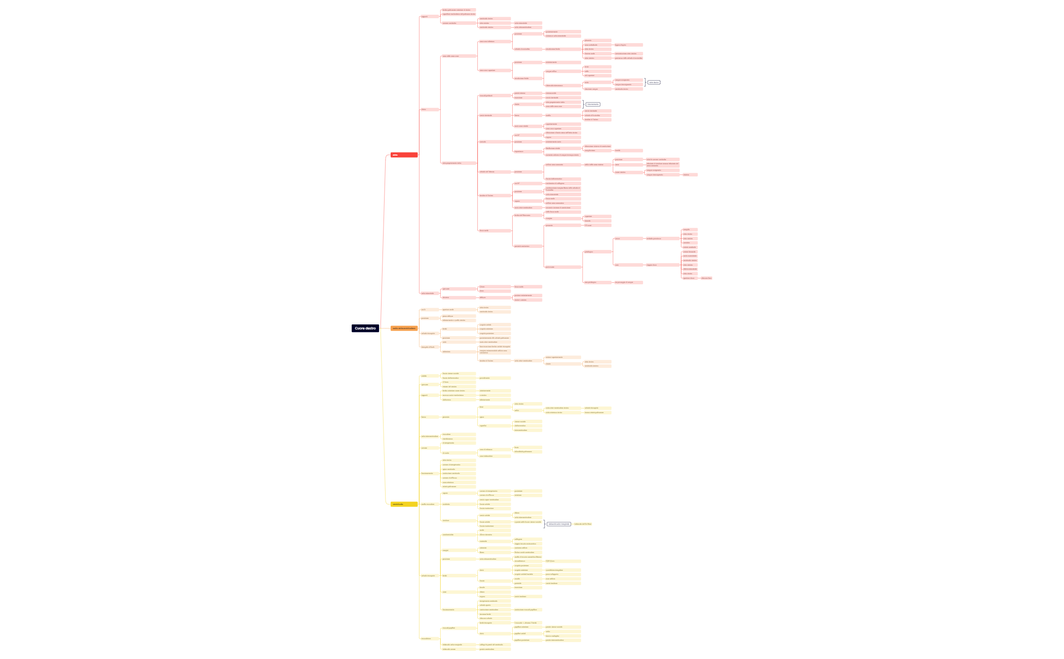 Cuore destro preview 1