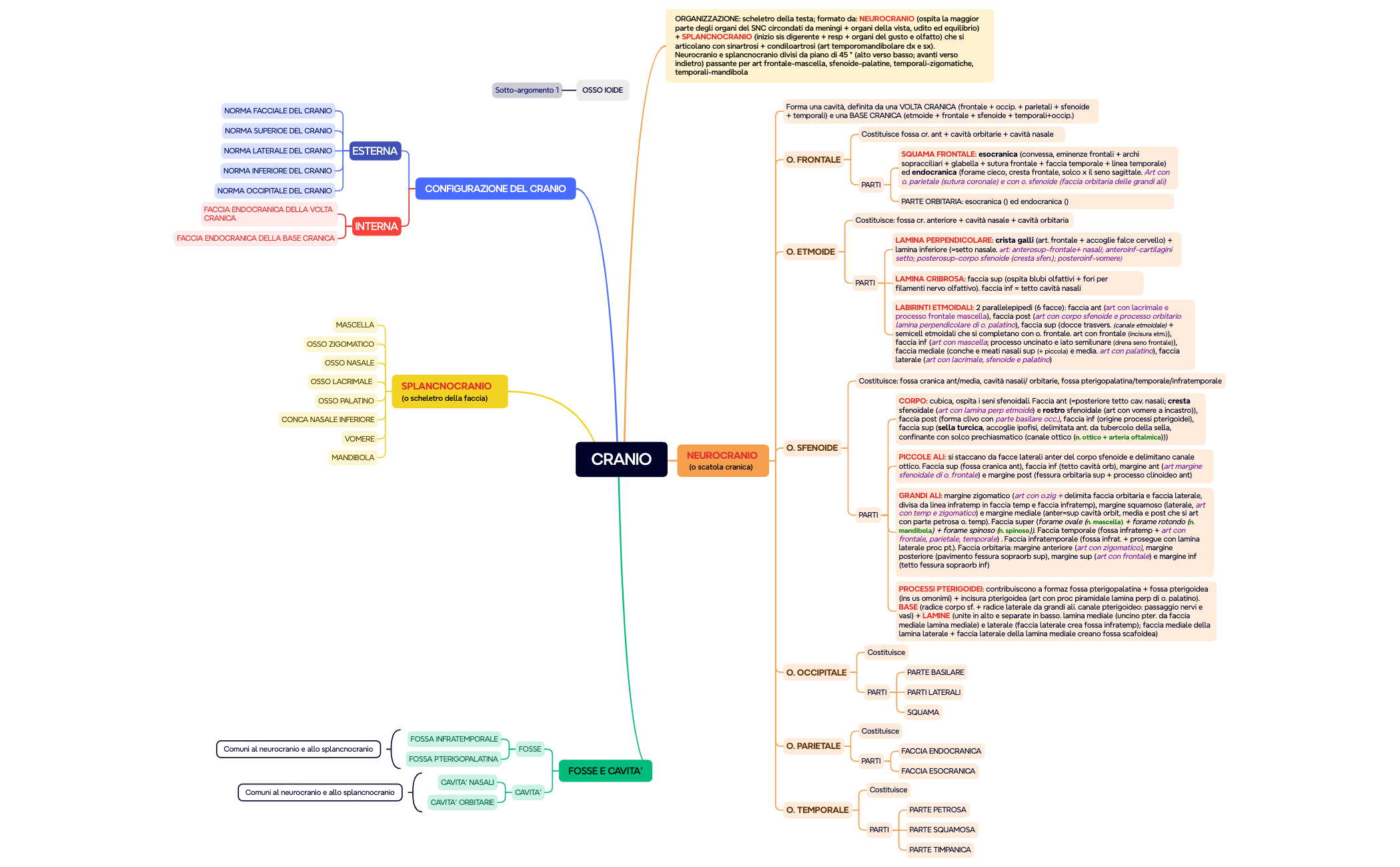 Mappa mentale preview 1
