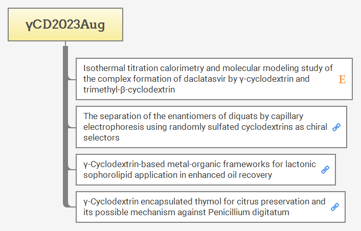 γCD2023Aug preview 1
