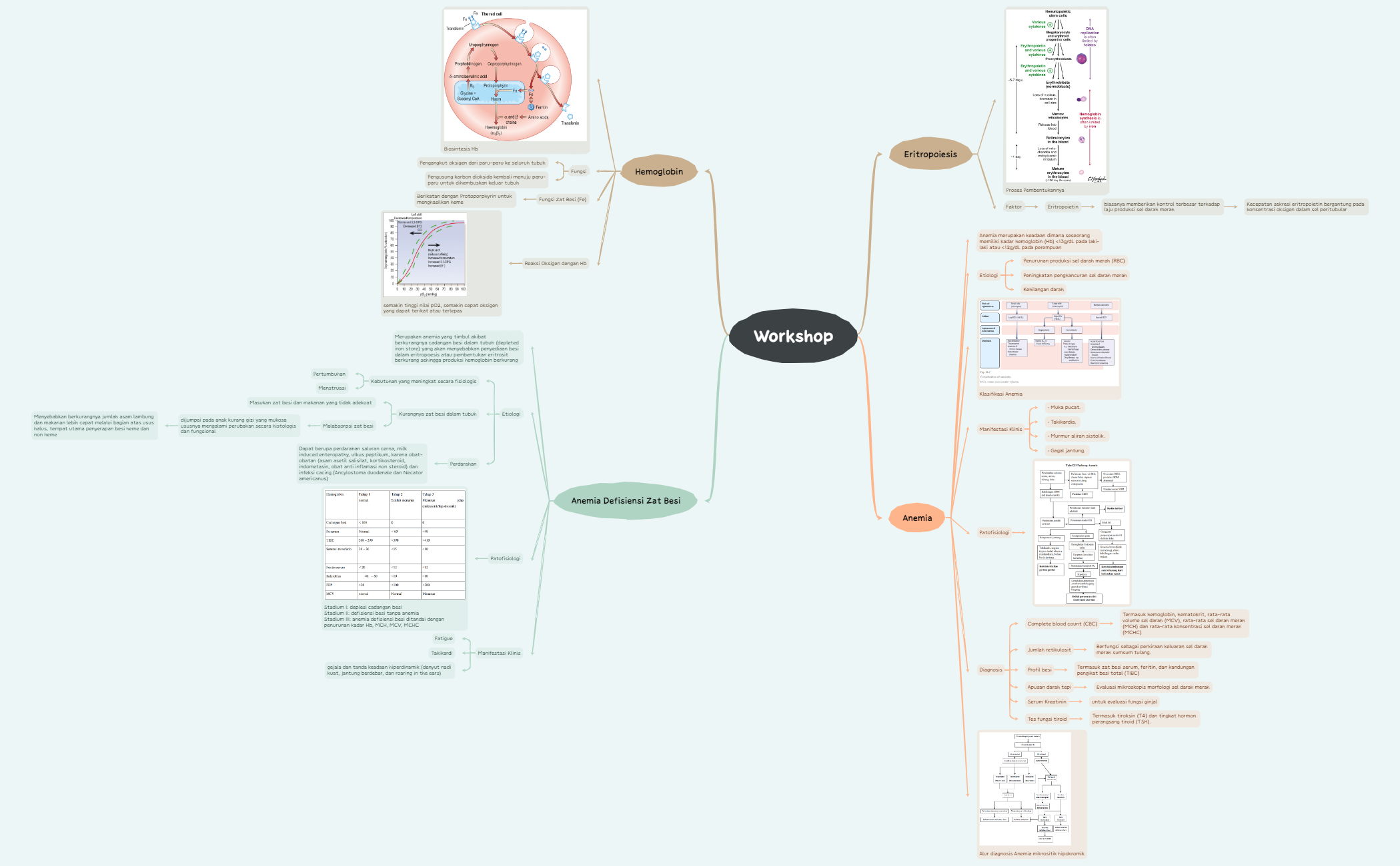 Workshop preview 1