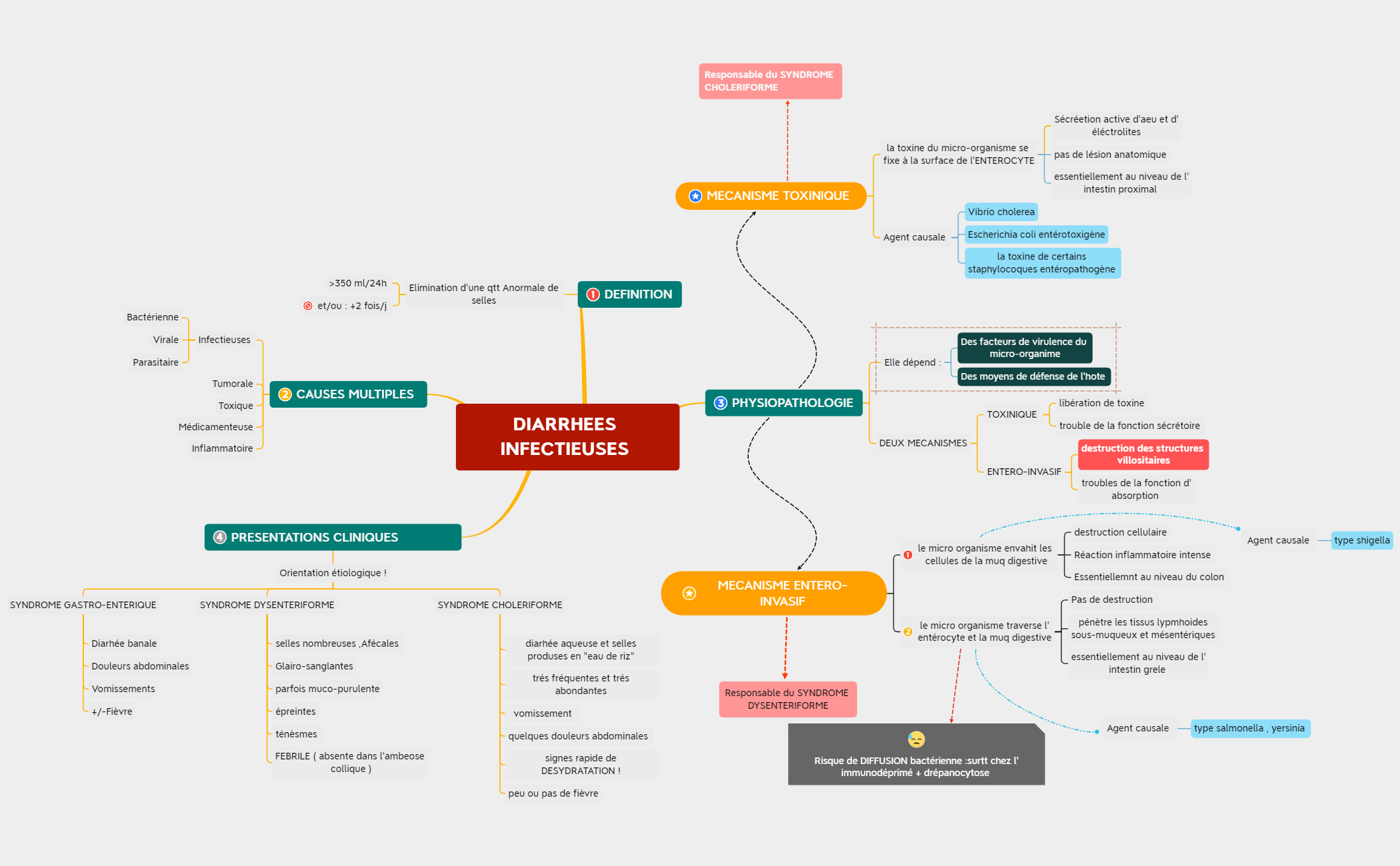 DIARRHEES INFECTIEUSES preview 1