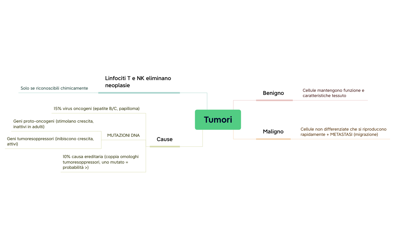 Biologia.xmind preview 1
