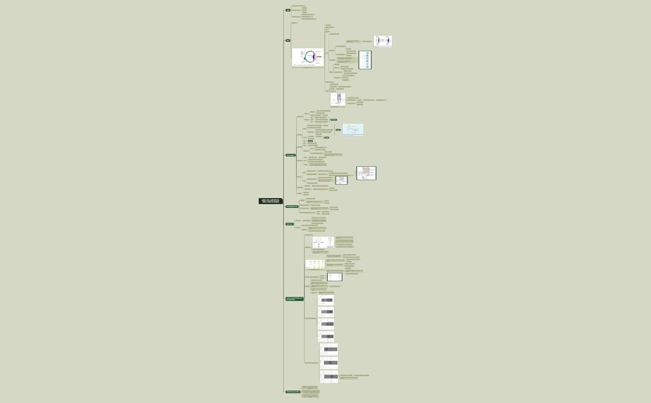 PS2021 Mindmap.xmind - XMind Template