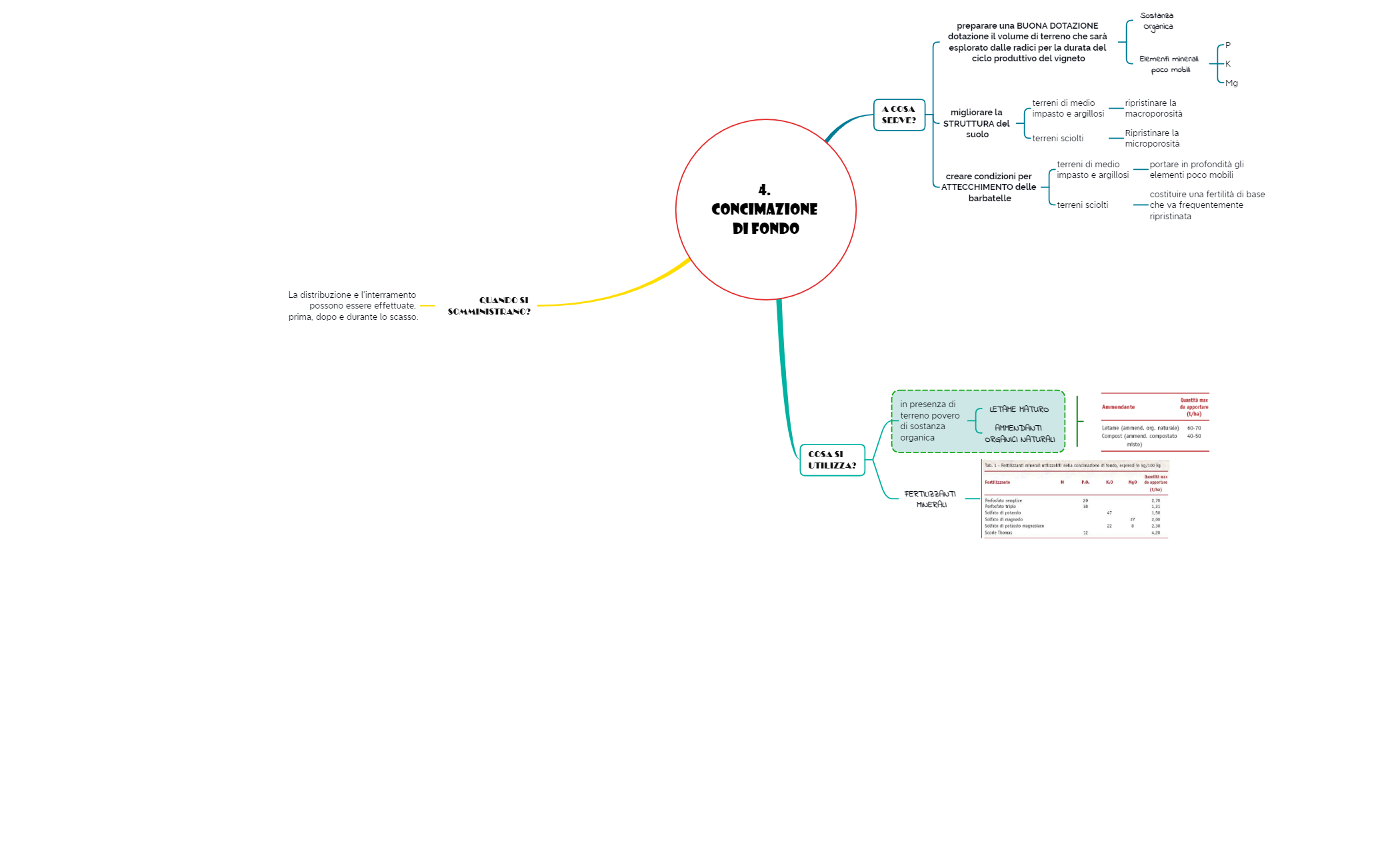 4. CONCIMAZIONE di FONDO preview 1