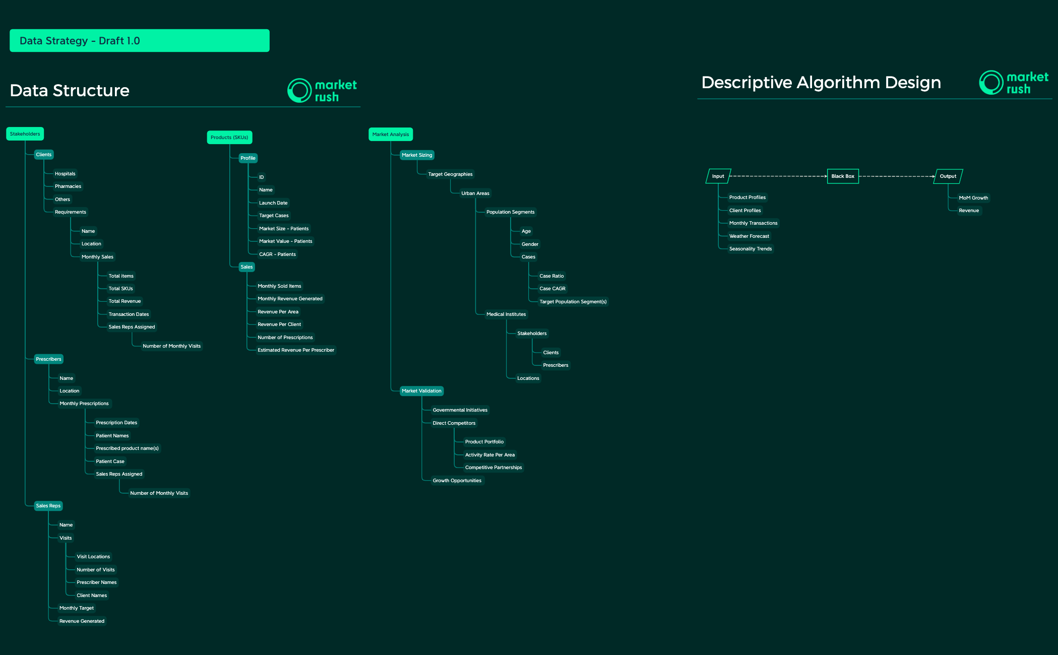 Data Strategy - Draft 1.0 preview 1
