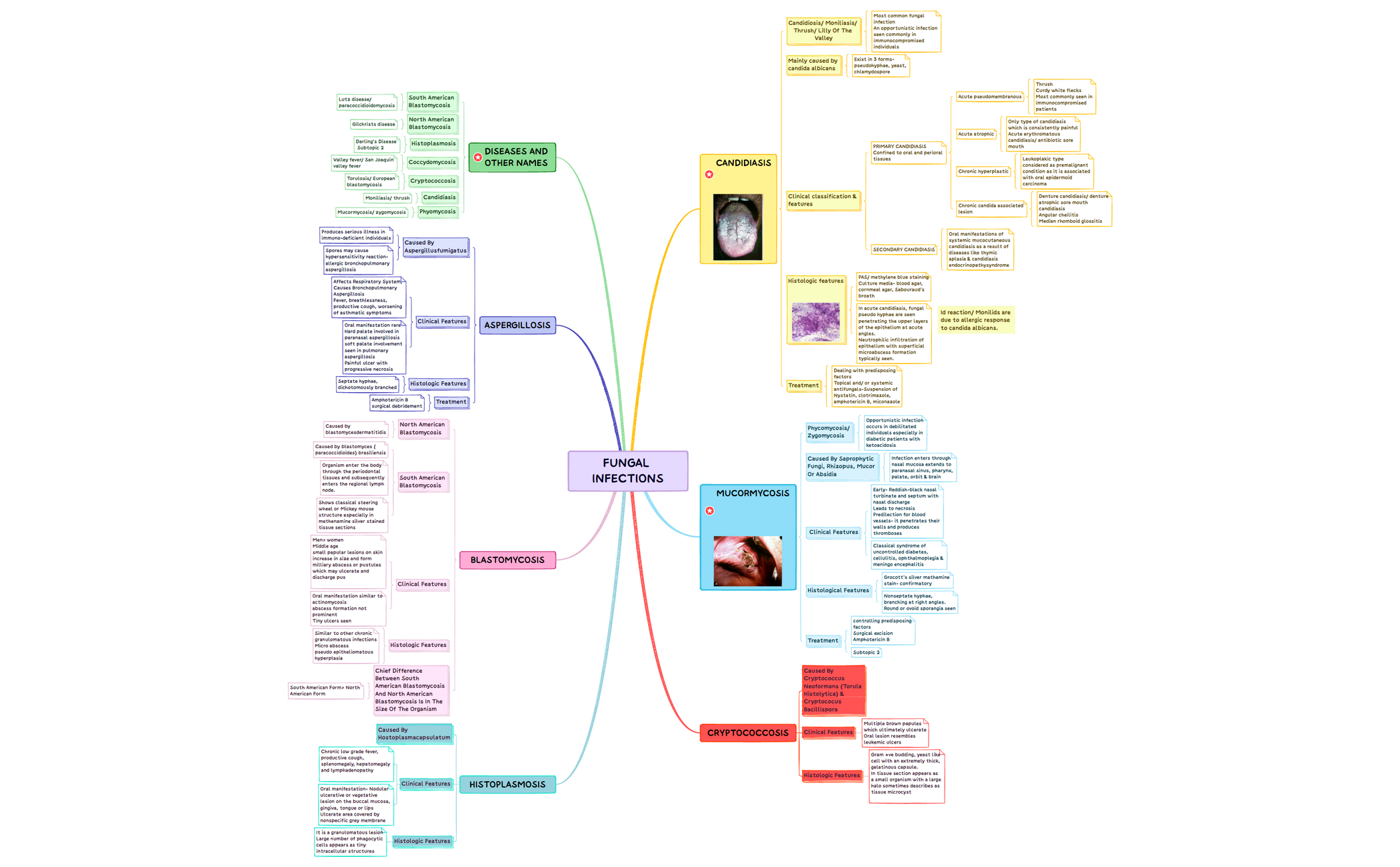 Template_MindmapxmindxmindEFKHGuc7FAREI13401xmind-LLUNHM-WBSTngM-15595.xmind preview 1