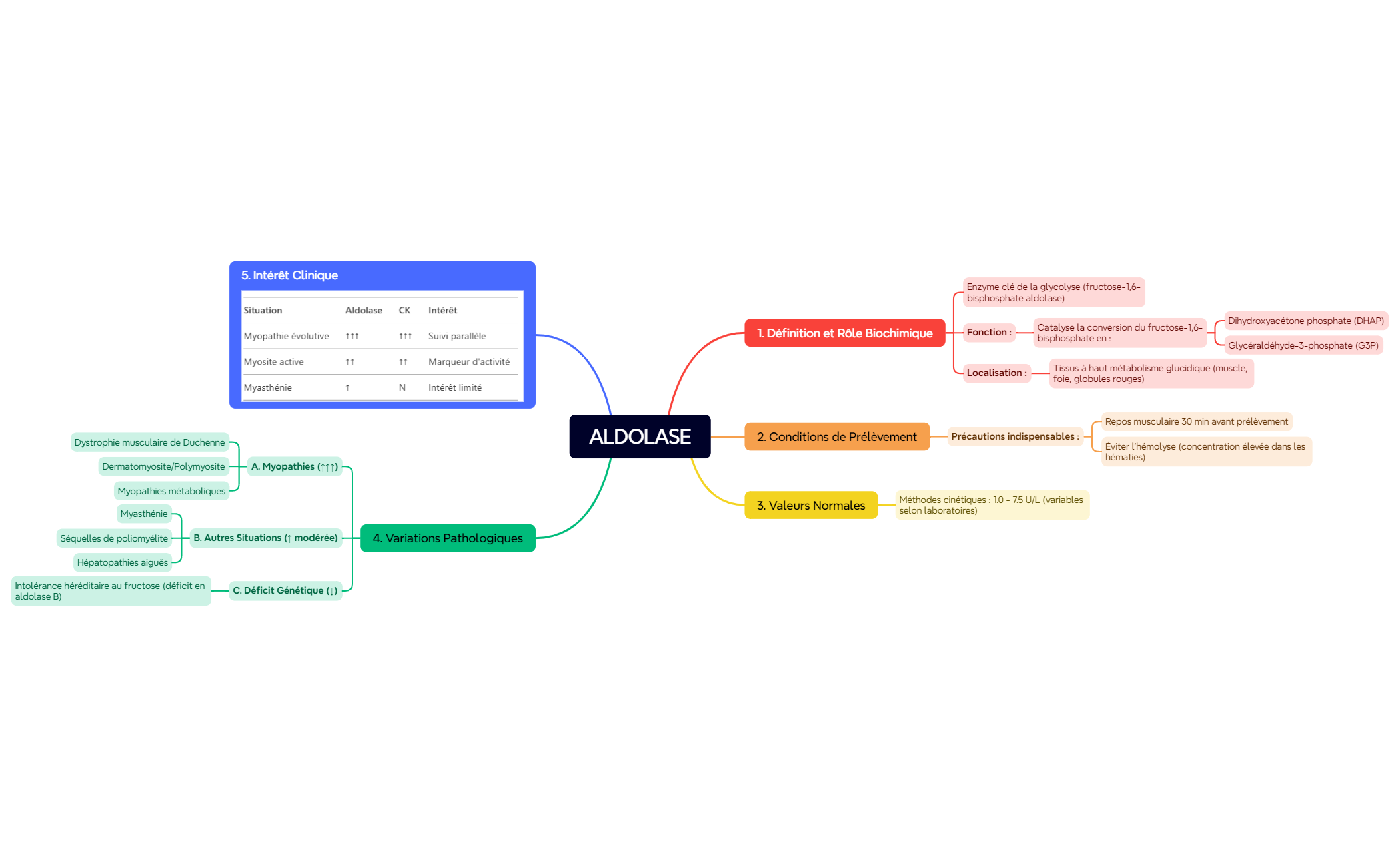 ALDOLASE preview 1
