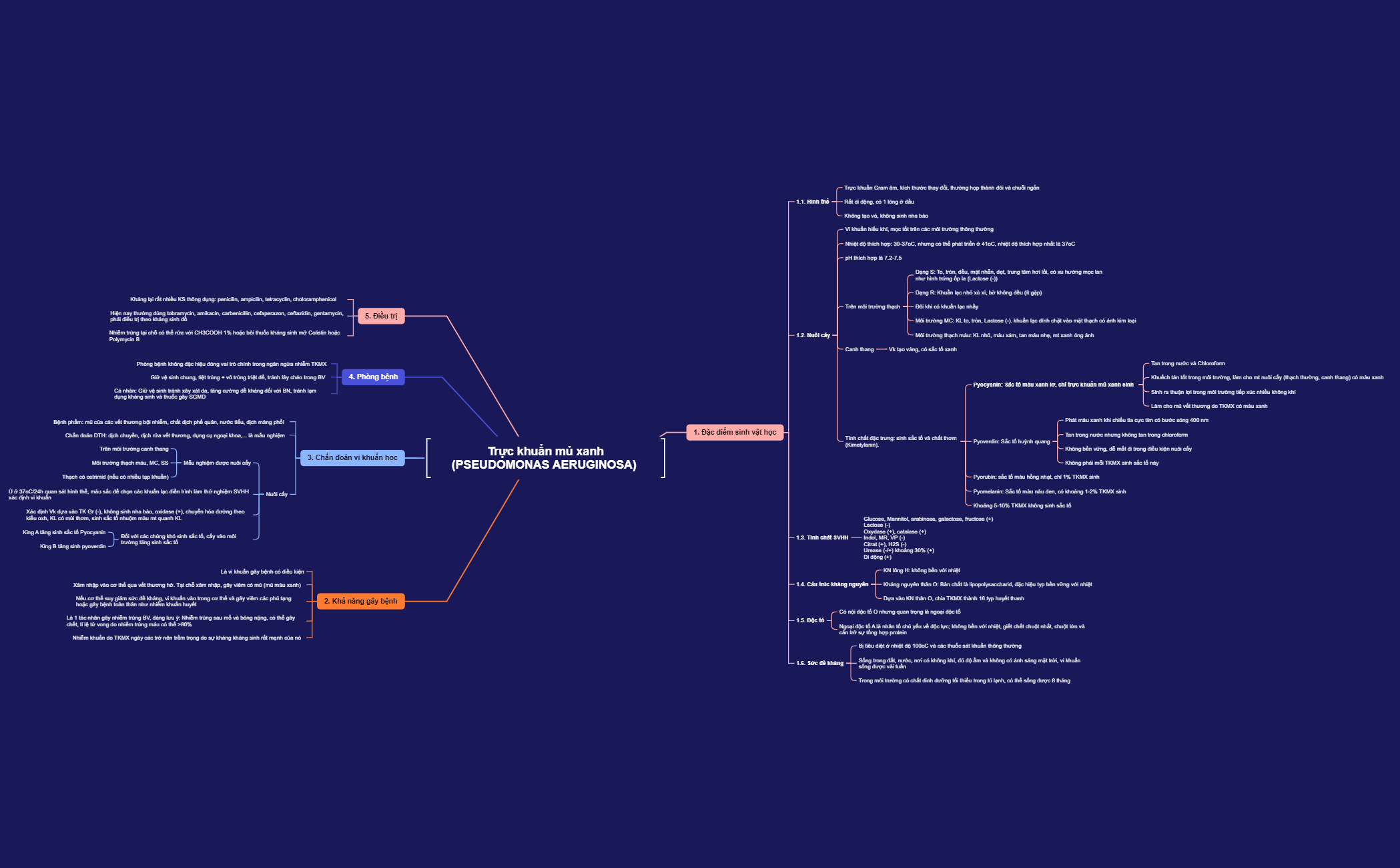 Business Plan preview 1