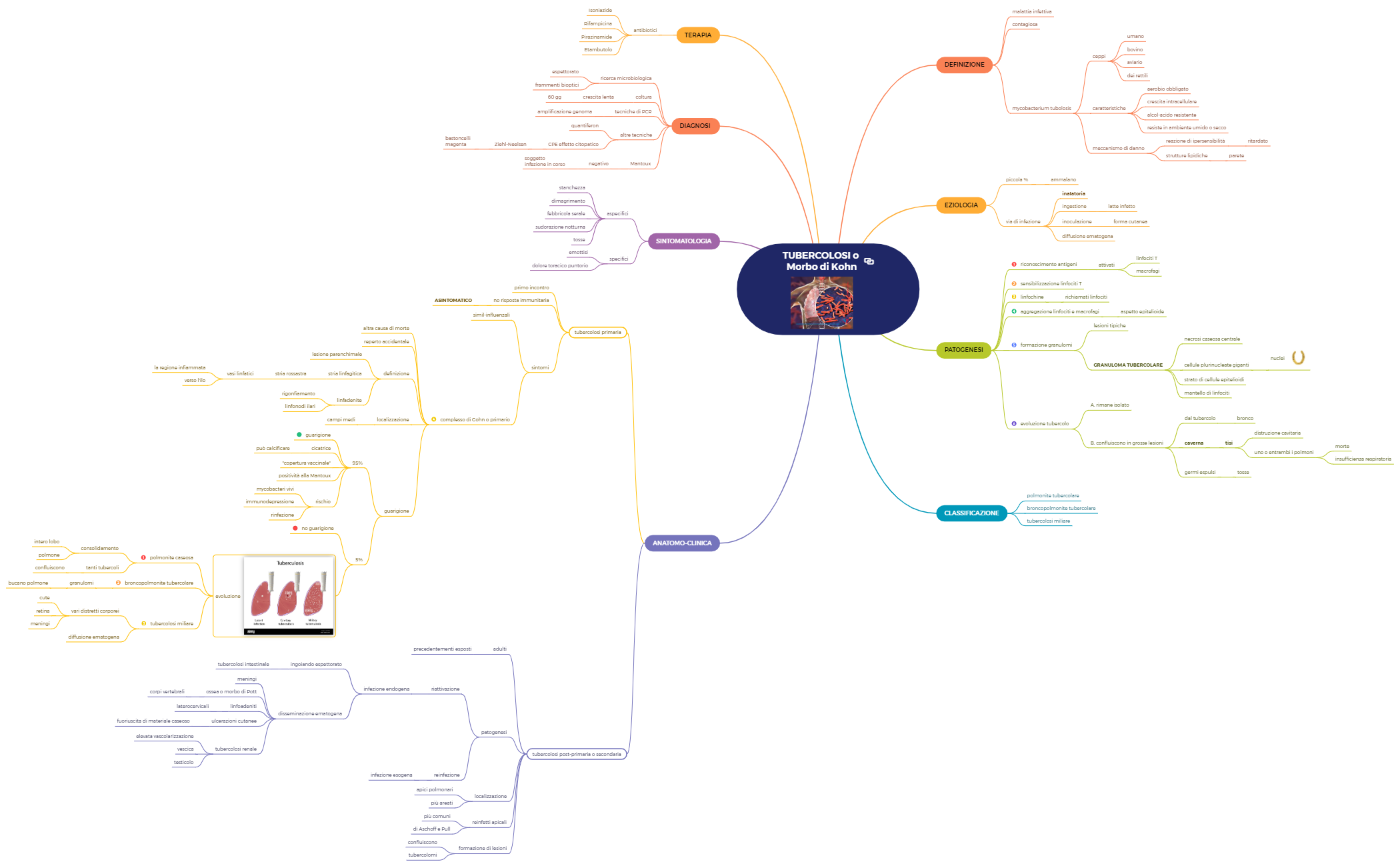 6. POLMONE 2 preview 1