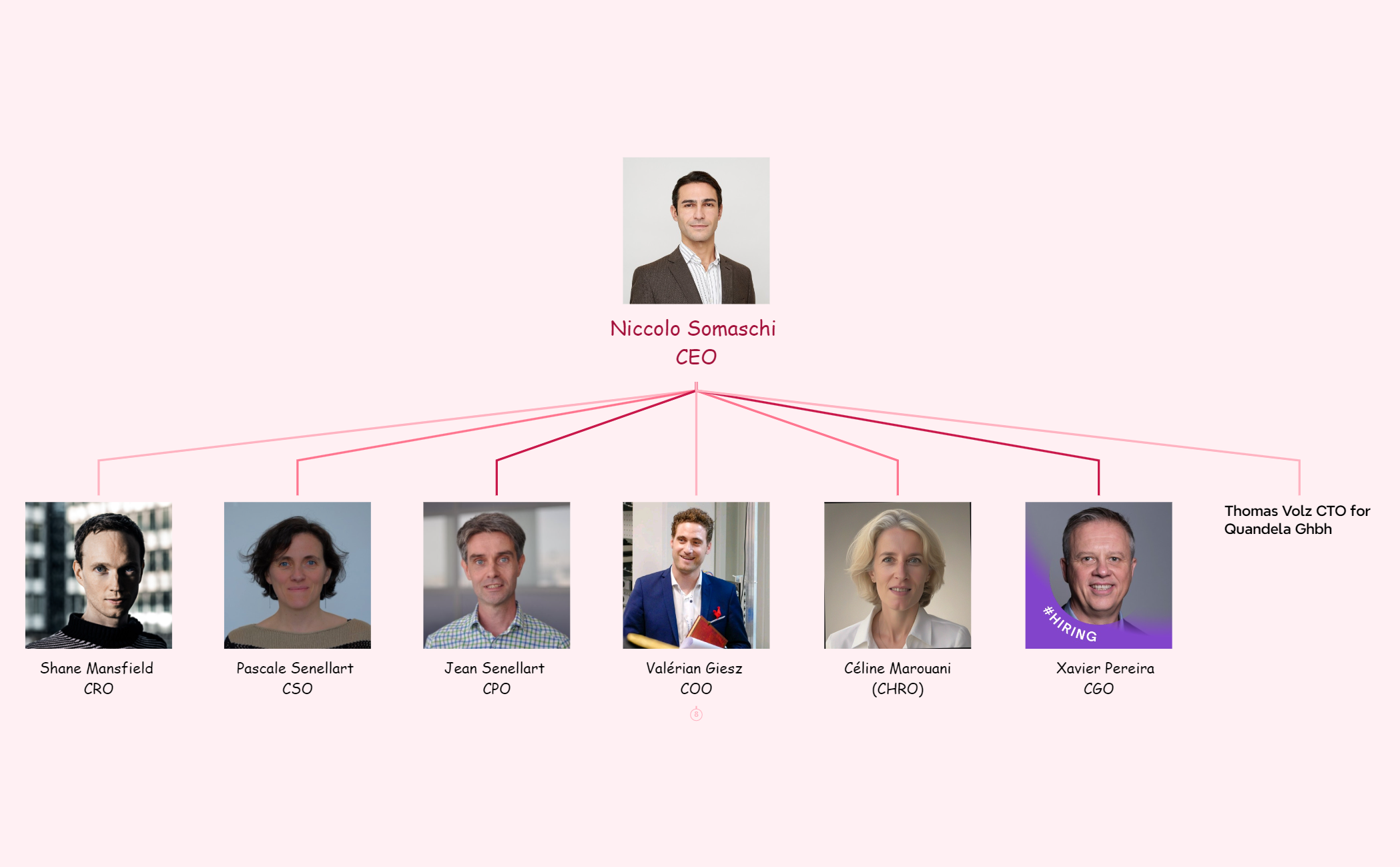 Org Chart - XMind Template