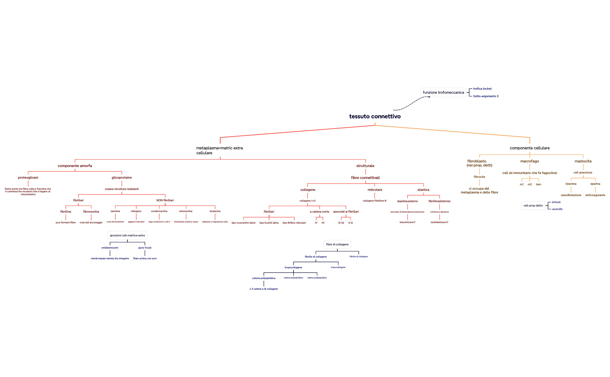 Mappa mentale preview 1