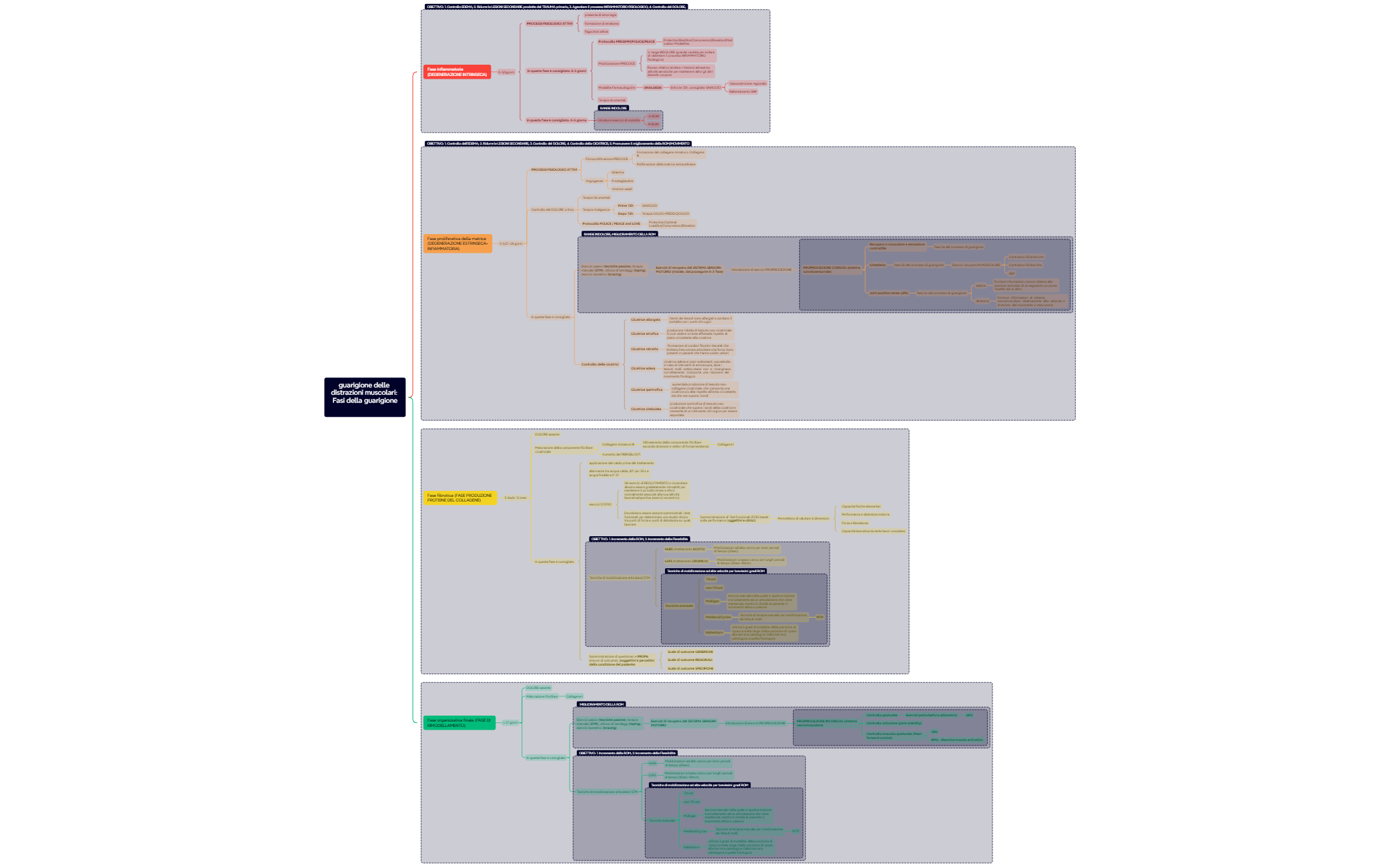 guarigione delle distrazioni muscolari Fasi della guarigione preview 1
