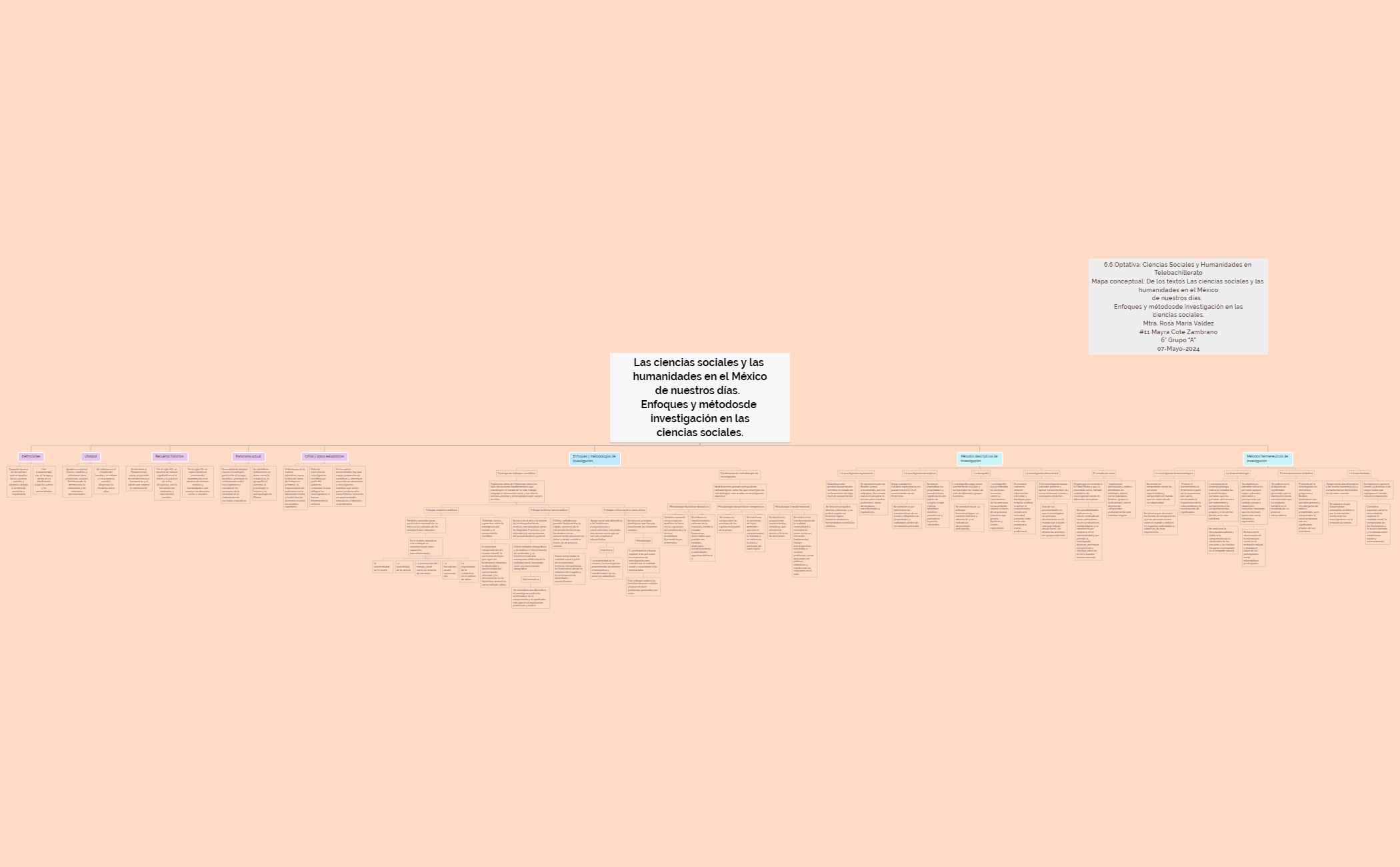 Mapa Conceptual preview 1