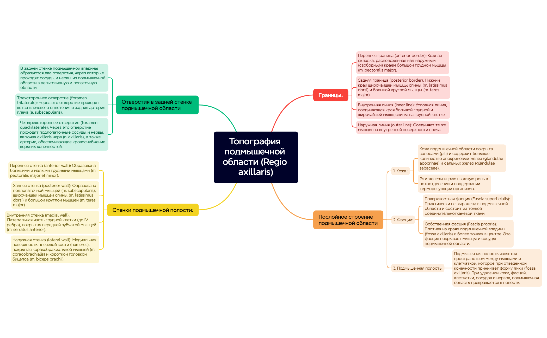 Подмышечная область preview 1