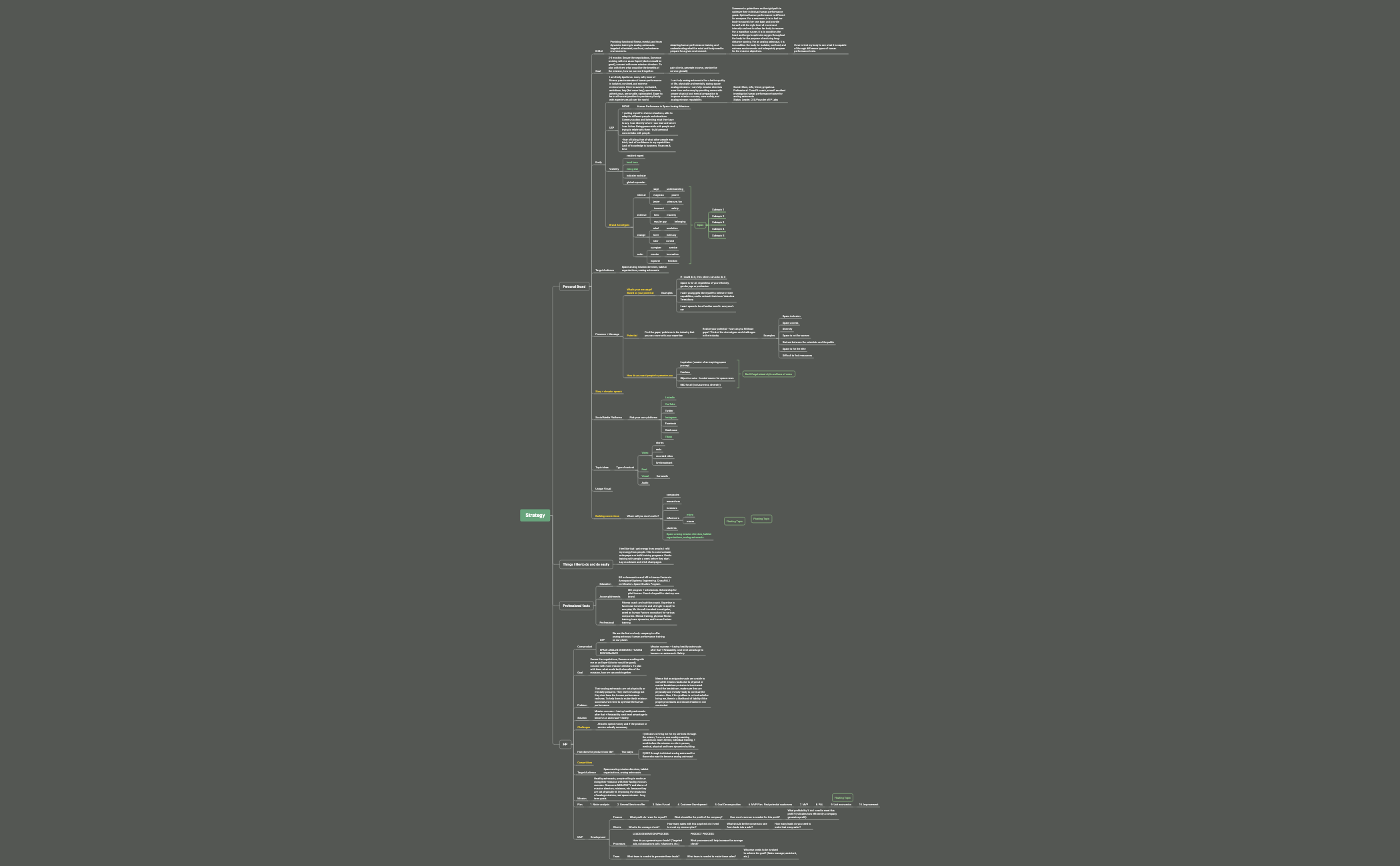 Strategy Emily - XMind Template