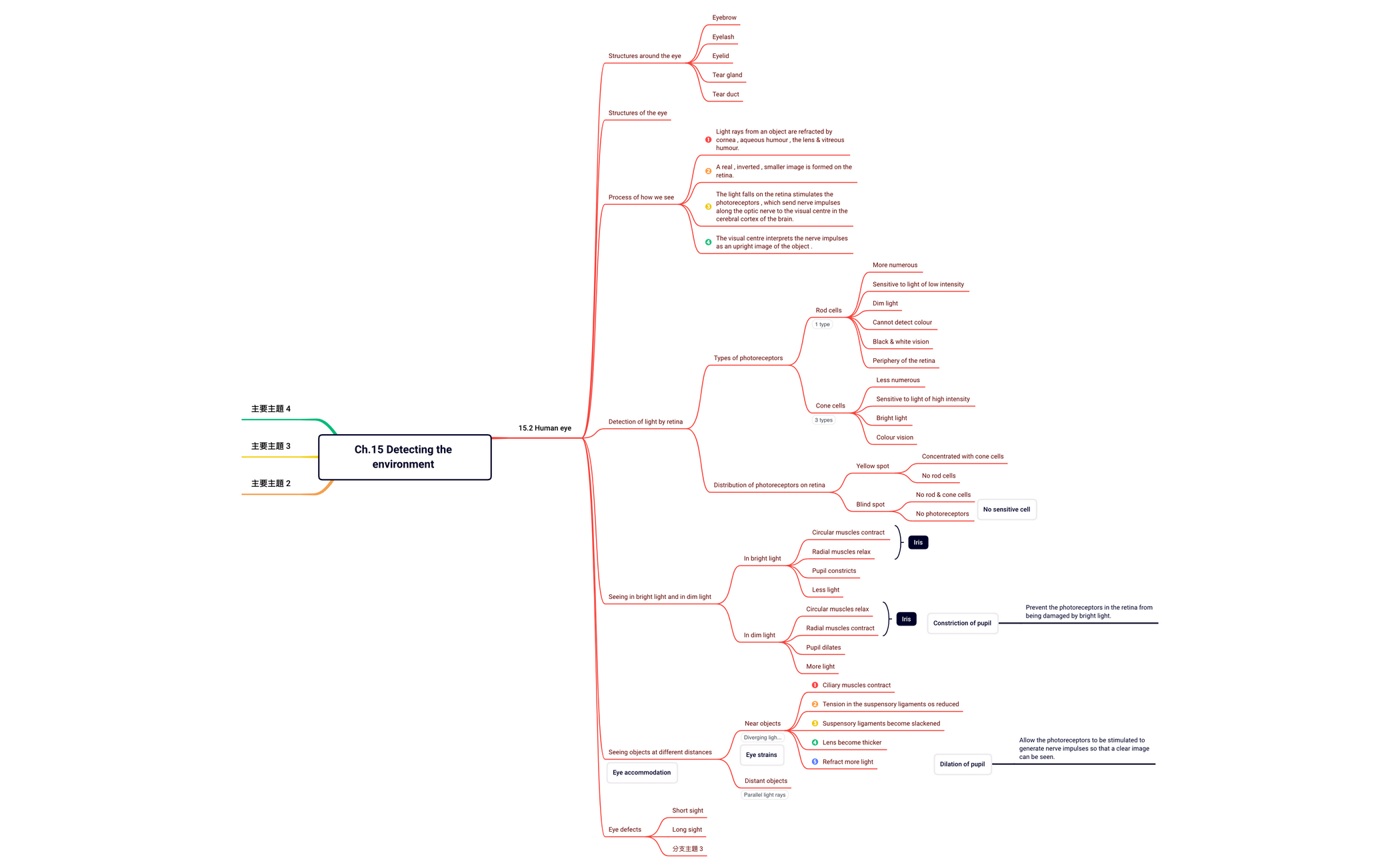 Ch.15 Detecting the environment - XMind Template