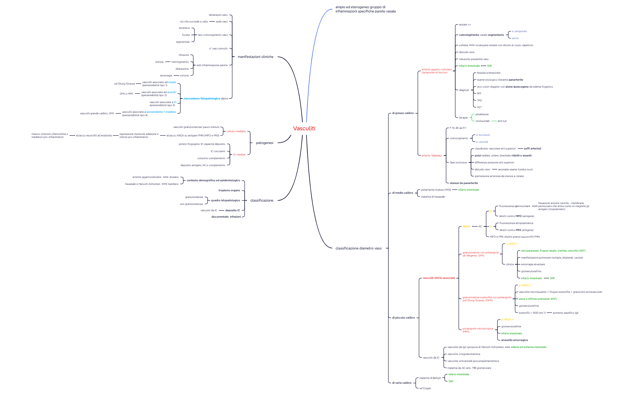 6. Vasculiti preview 1