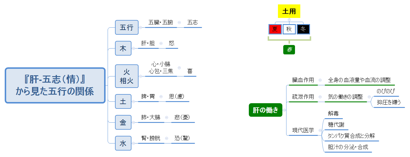 『肝-五志(情)』 から見た五行の関係 - XMind Template