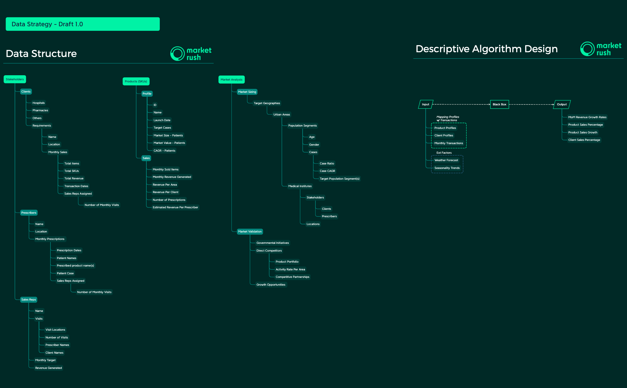 Data Strategy - Draft 1.0 - XMind Template