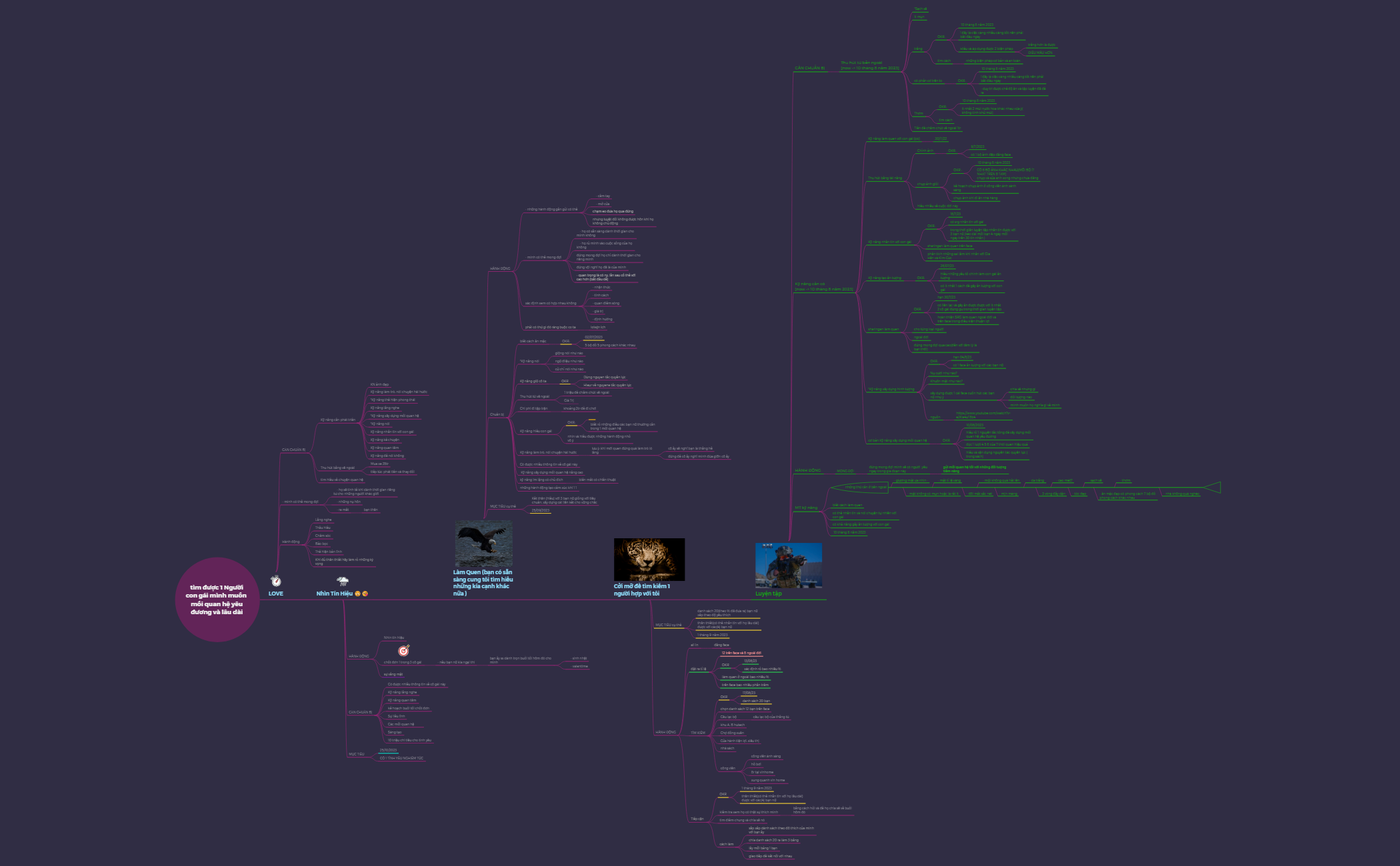 kế hoạch MTYU B preview 1