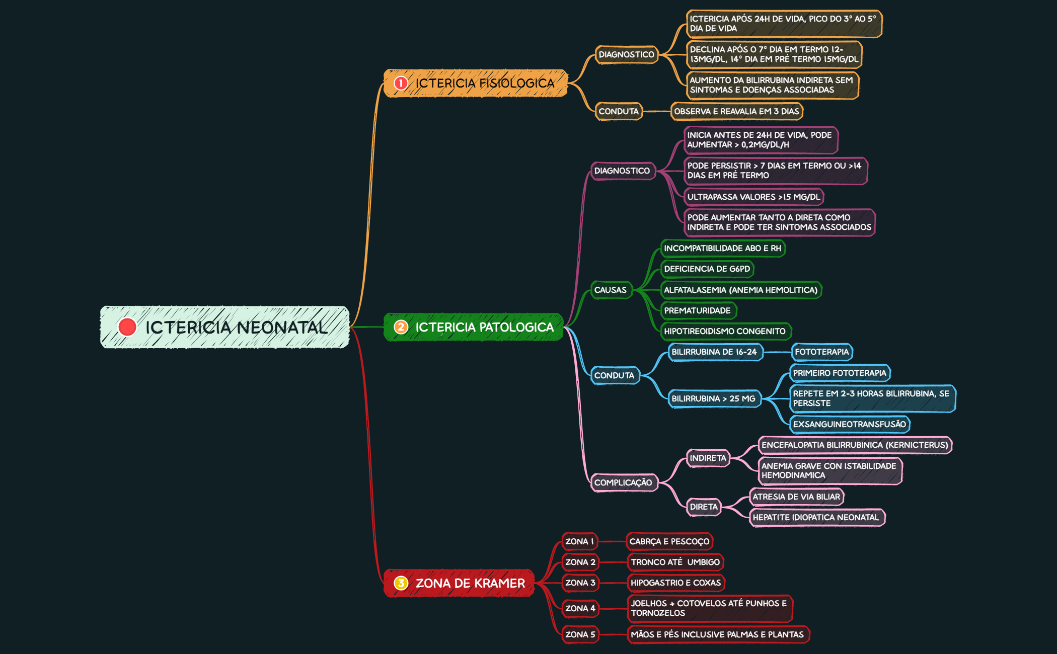 ICTERICIA NEONATAL preview 1