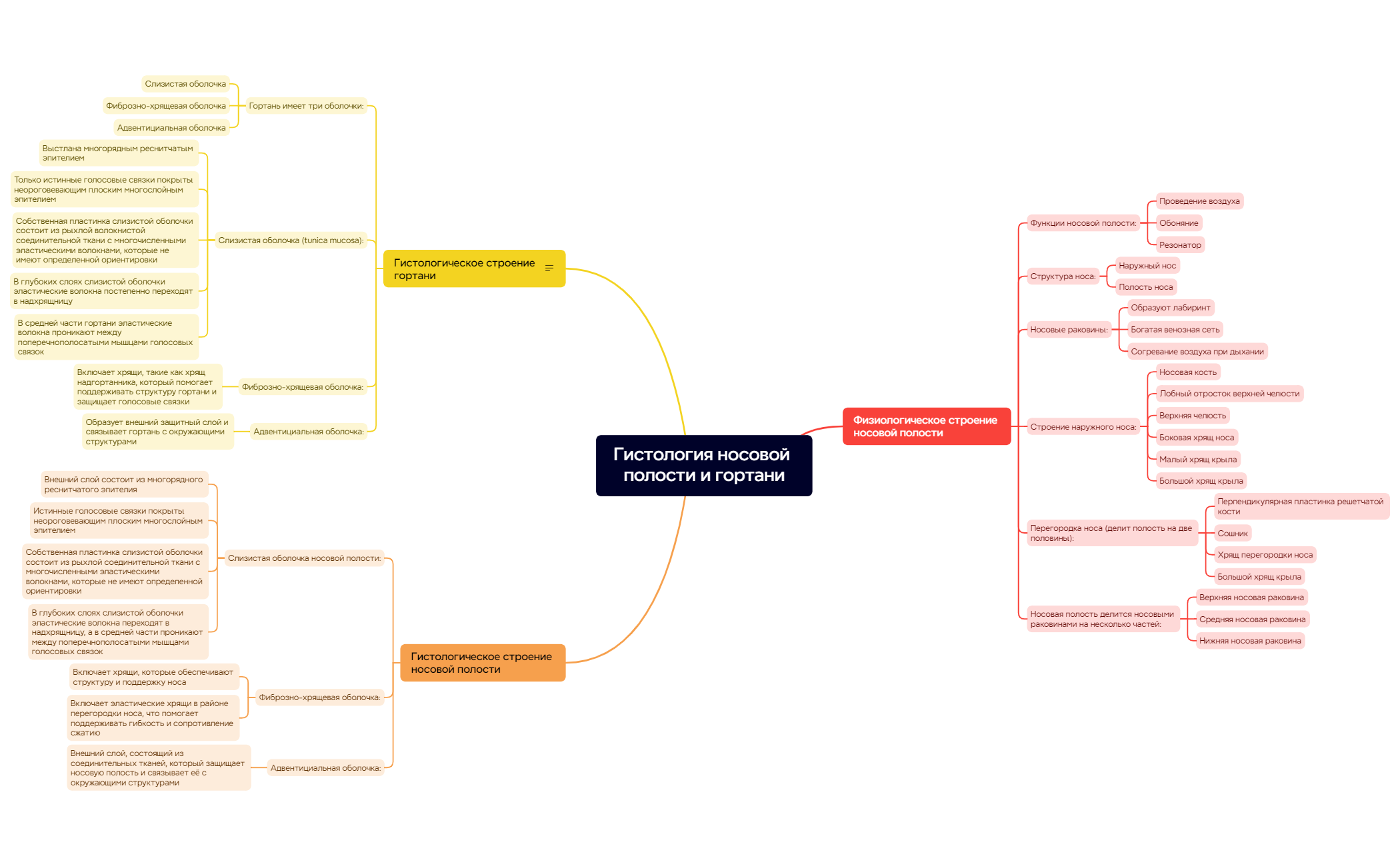 Map - XMind Template