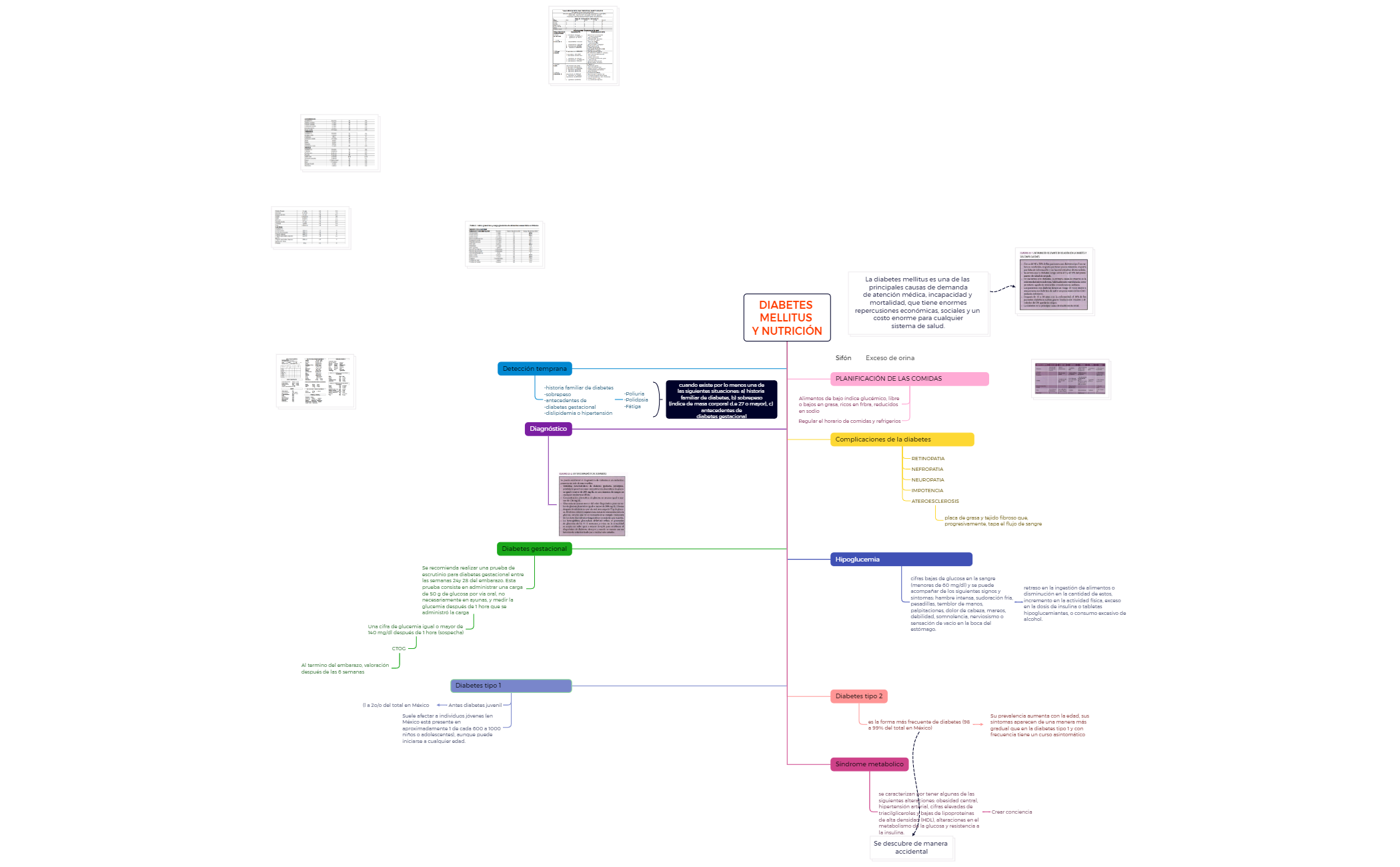 Diabetes mellitus y nutrición preview 1