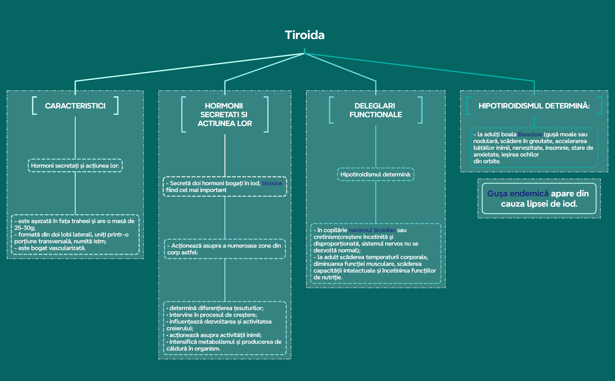 Tiroida preview 1