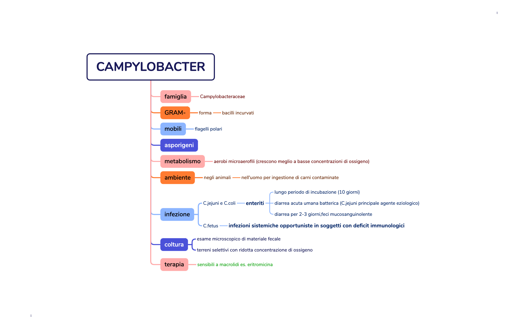 CAMPYLOBACTER preview 1
