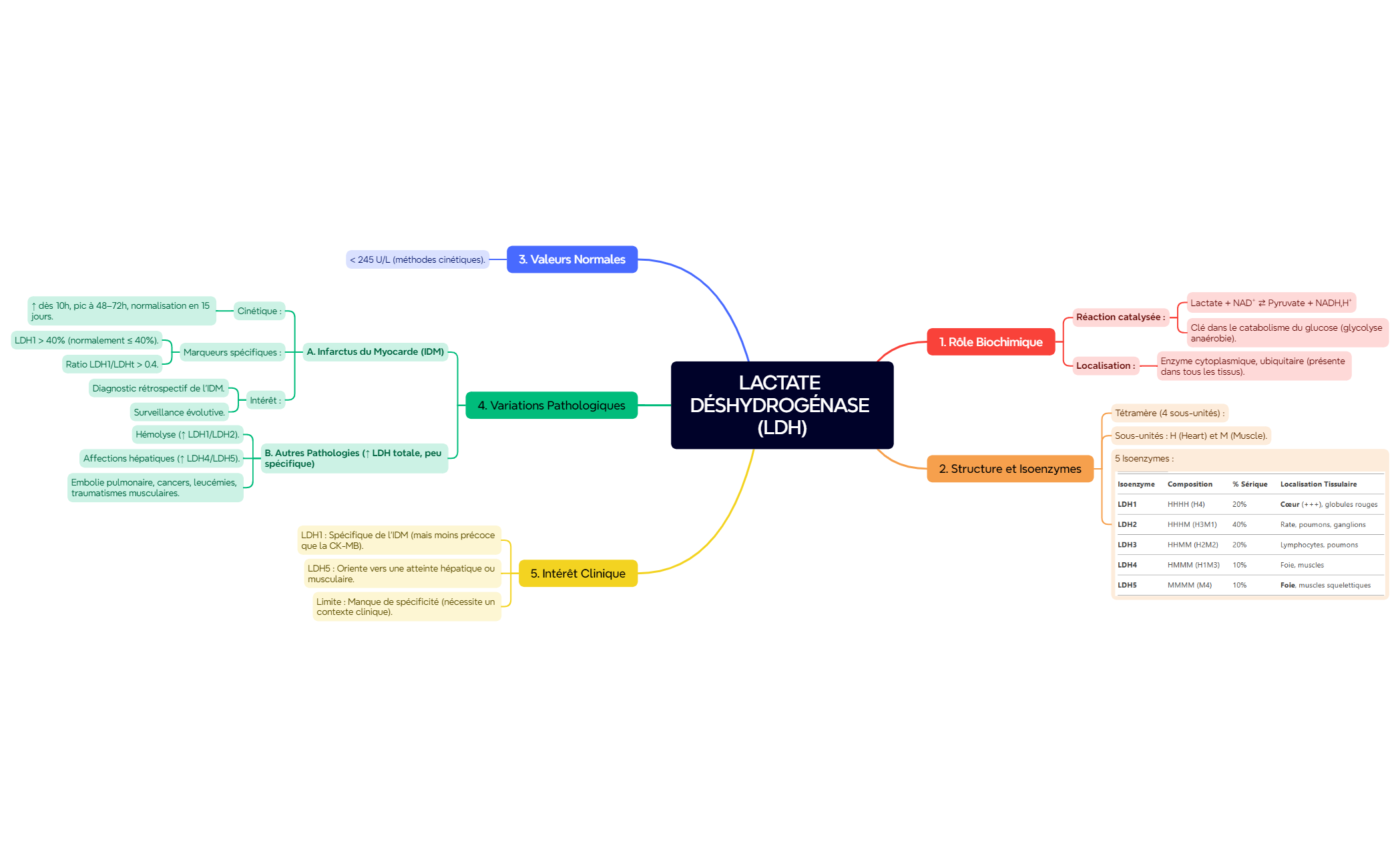 LACTATE DÉSHYDROGÉNASE (LDH) preview 1