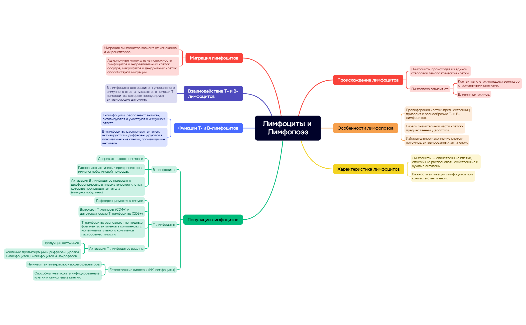 Гемопоэз клеток имунной системы preview 1