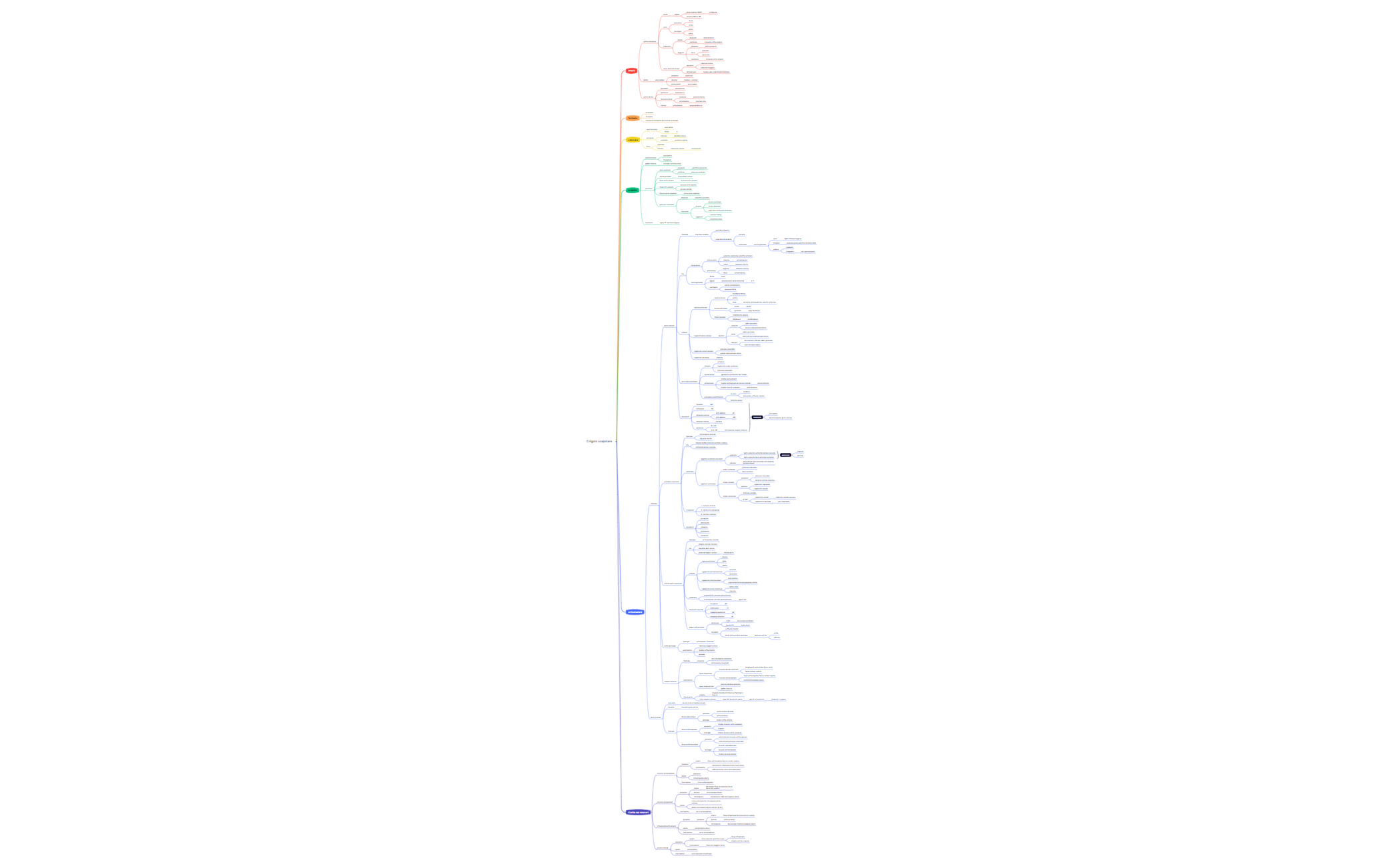 Cingolo scapolare preview 1