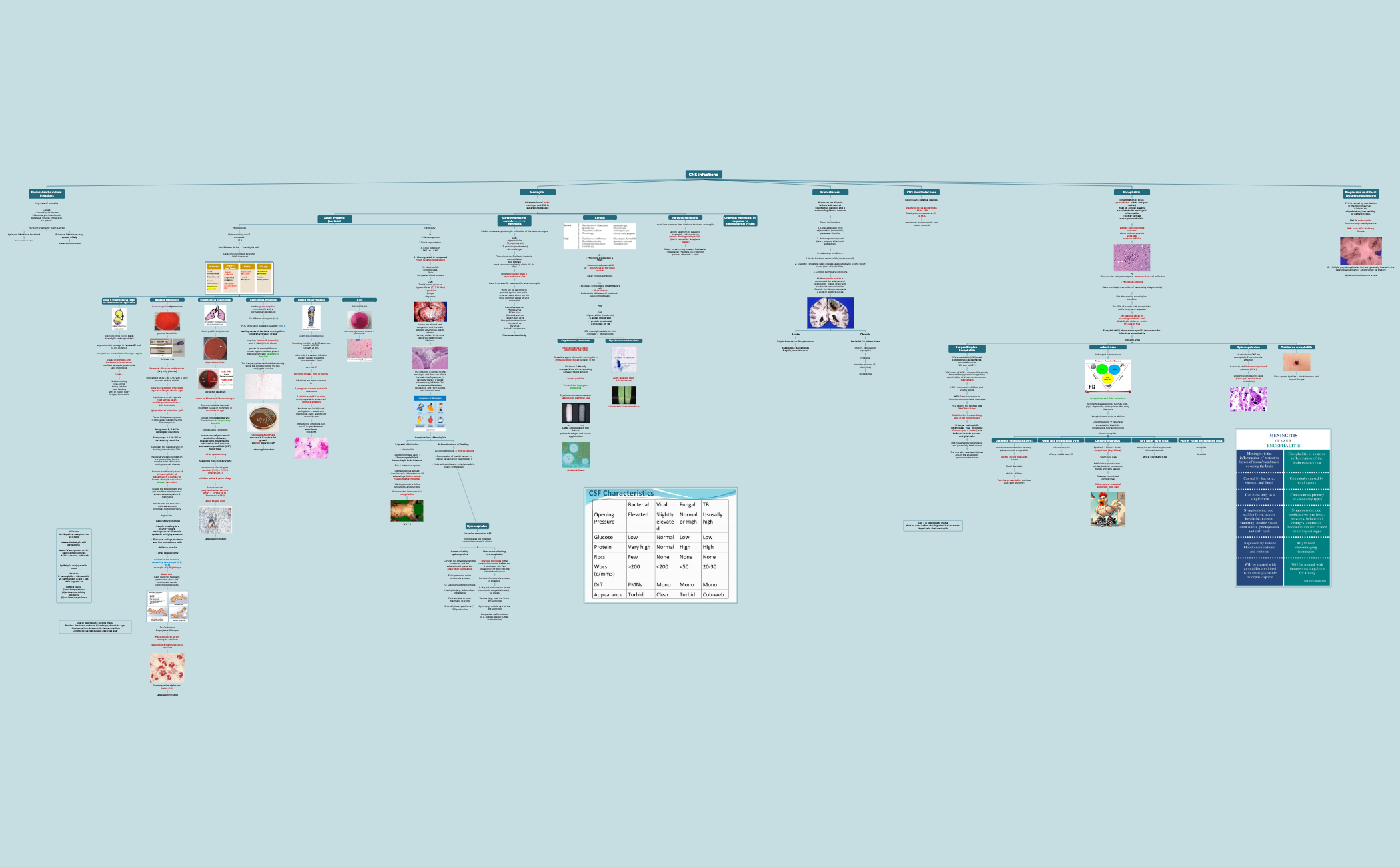 CNS infections  preview 1