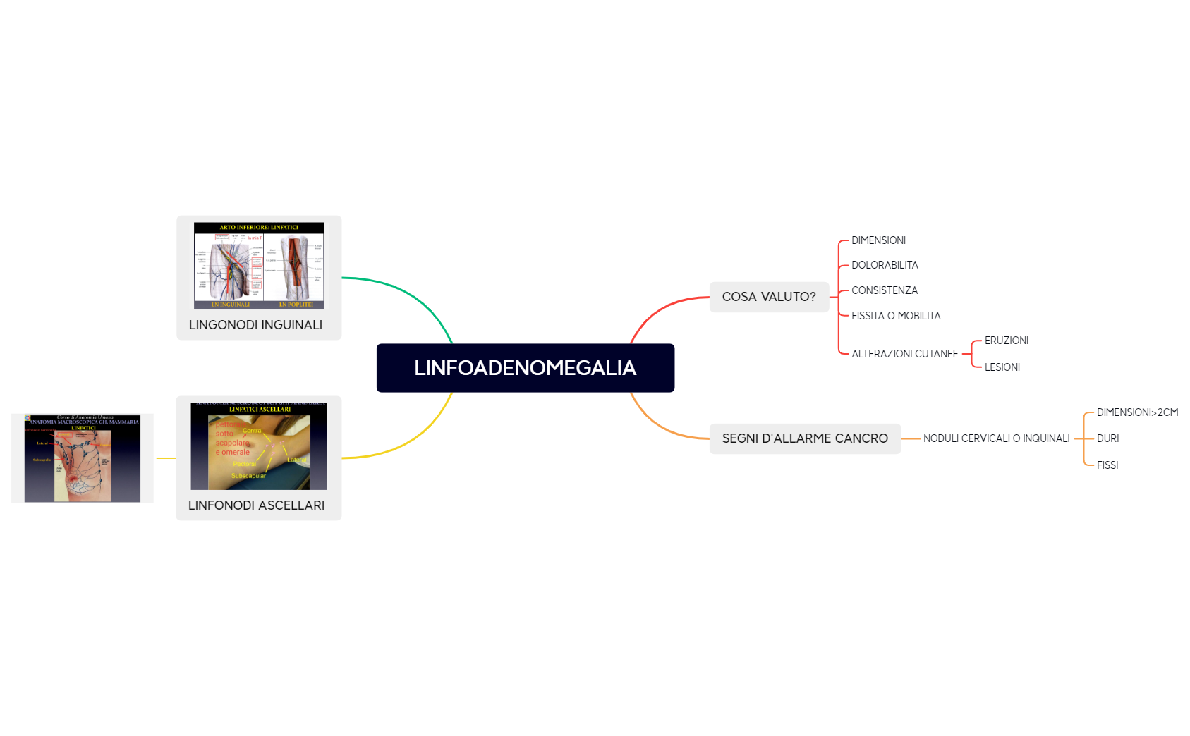 LINFOADENOMEGALIA preview 1