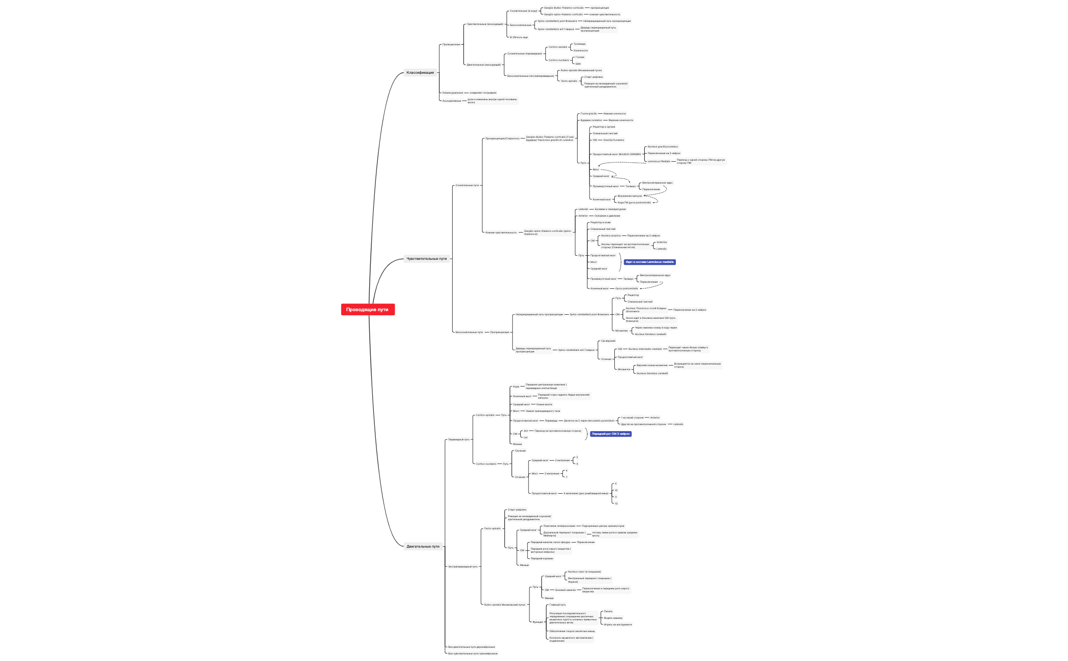 Проводящие пути preview 1