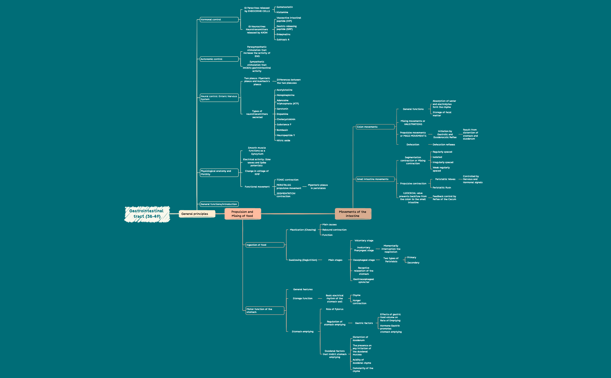 Gastrointestinal tract.xmind preview 1