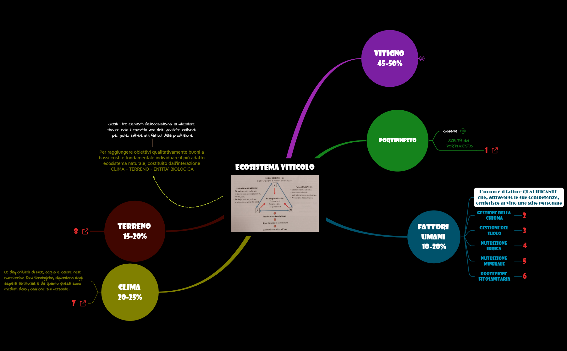 0_Ecosistema viticolo preview 1
